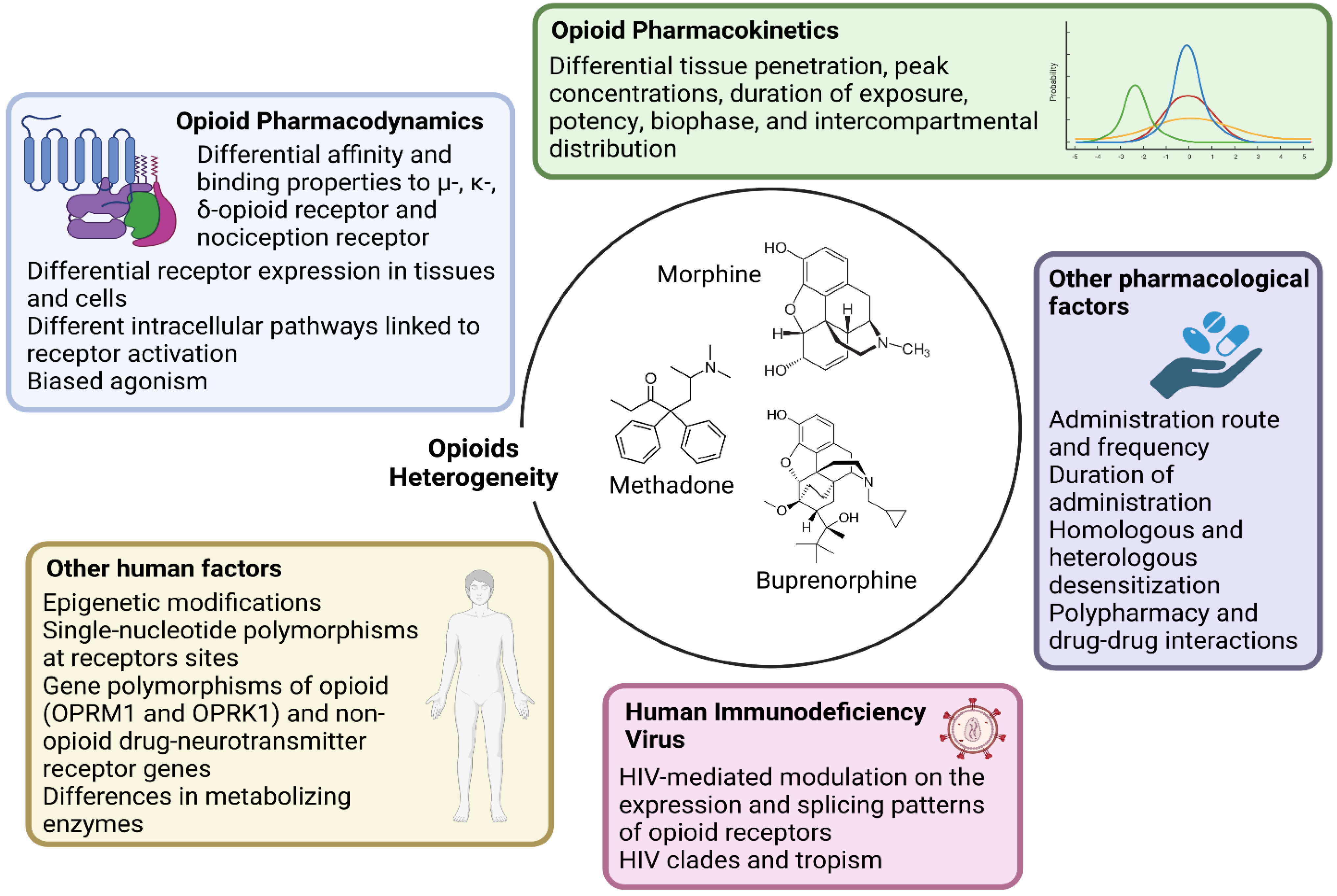 Viruses 15 01712 g001