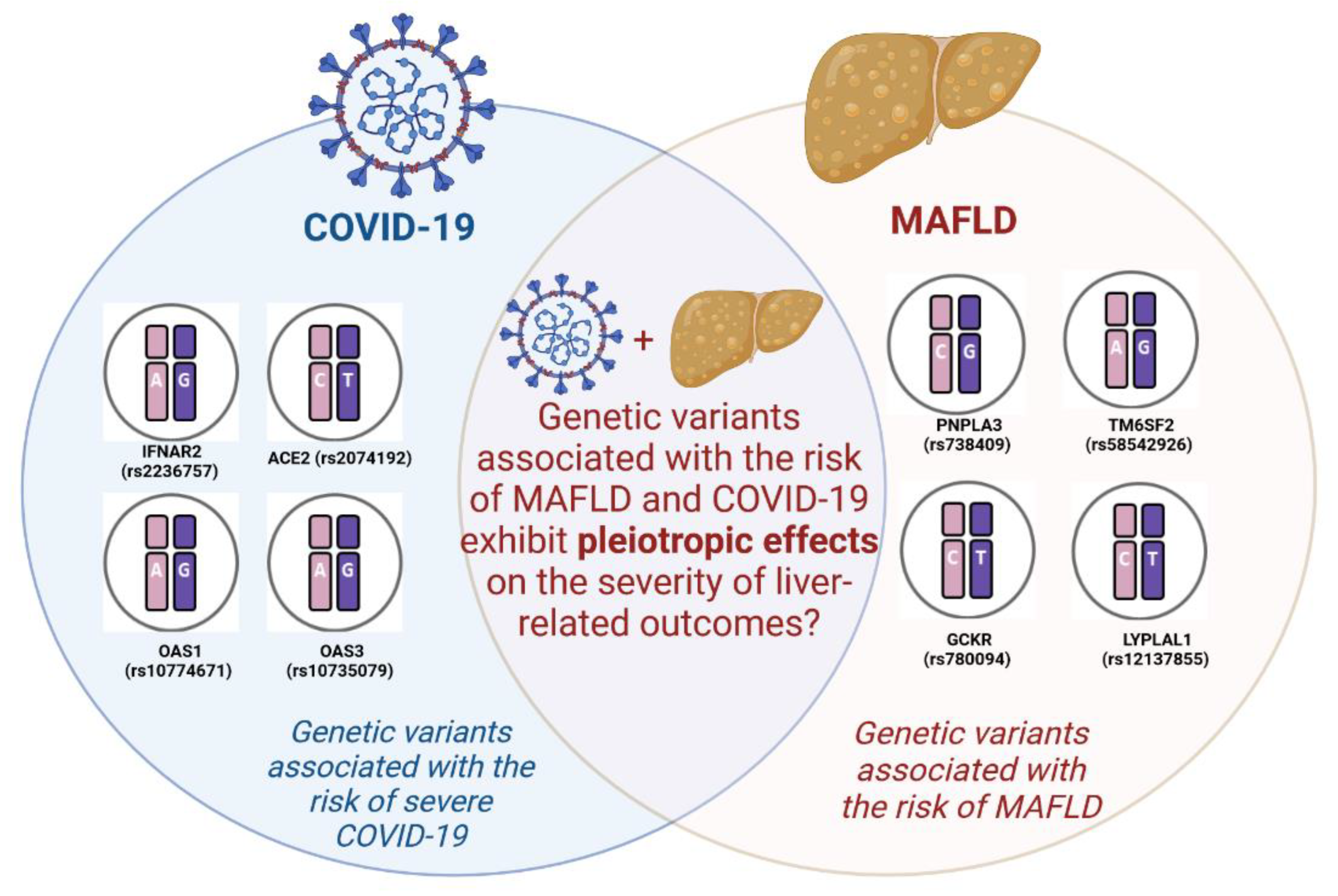Viruses 15 01724 g001 Viruses 15 01724 g001