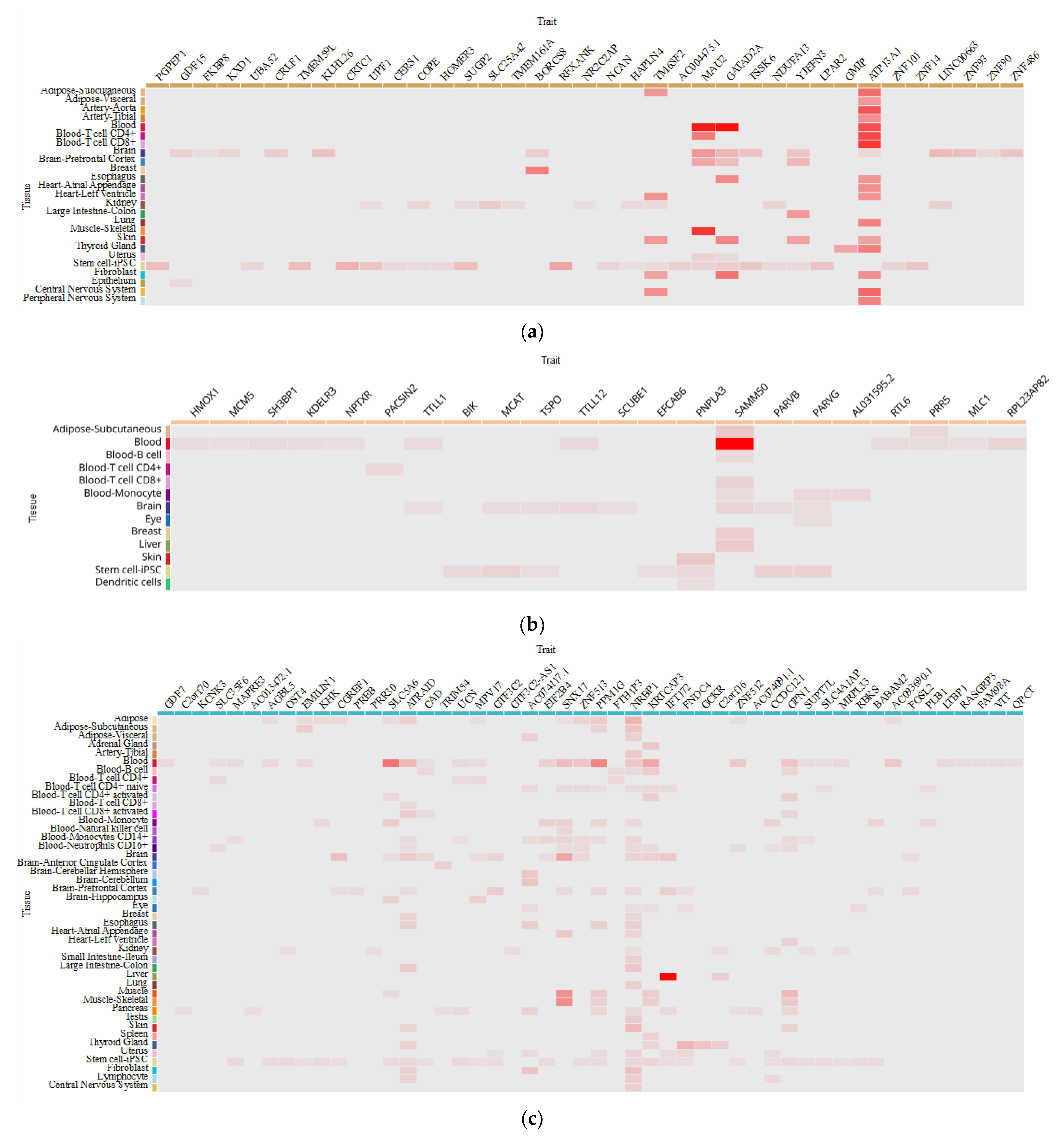 Viruses 15 01724 g002a Viruses 15 01724 g002a