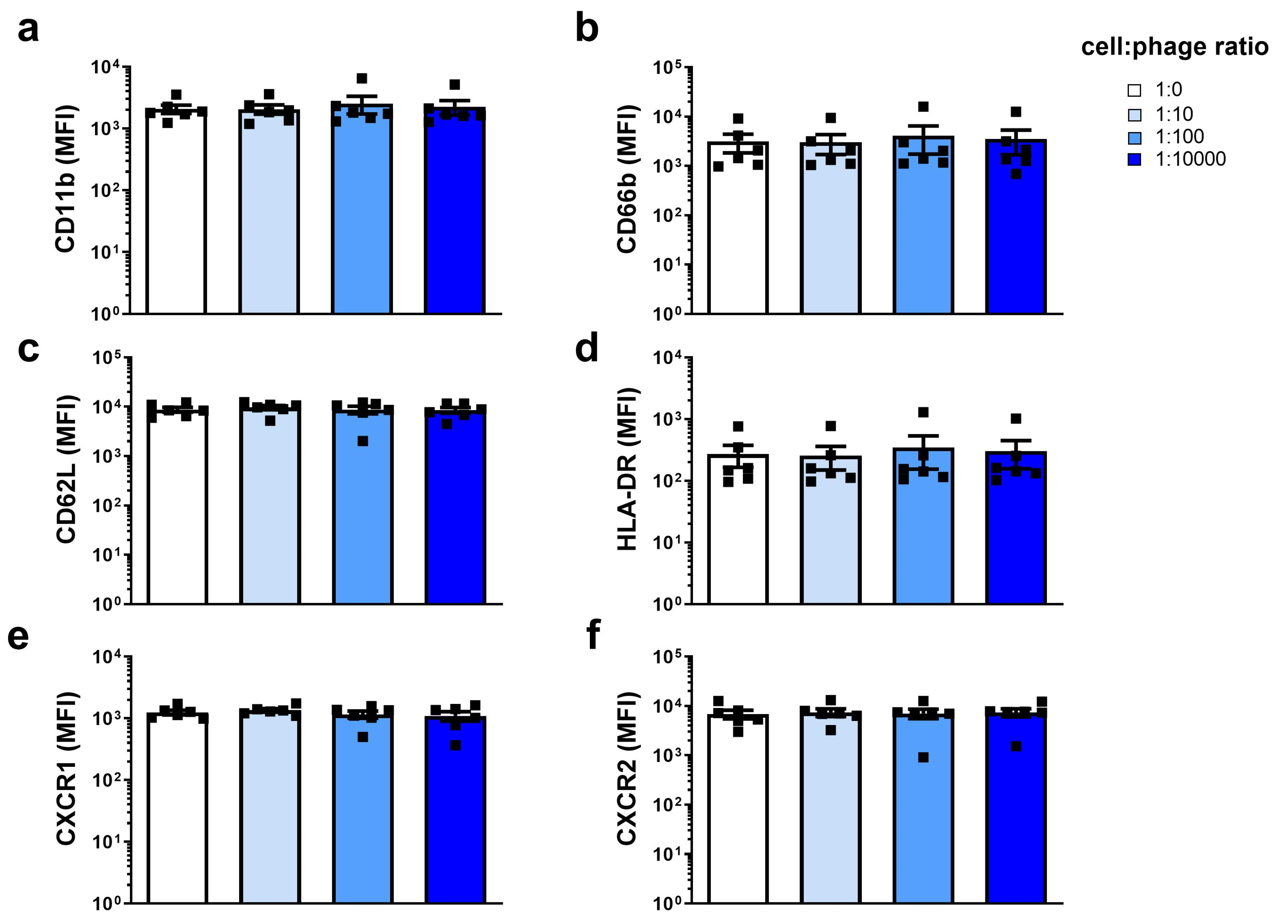 Viruses 15 01726 g002