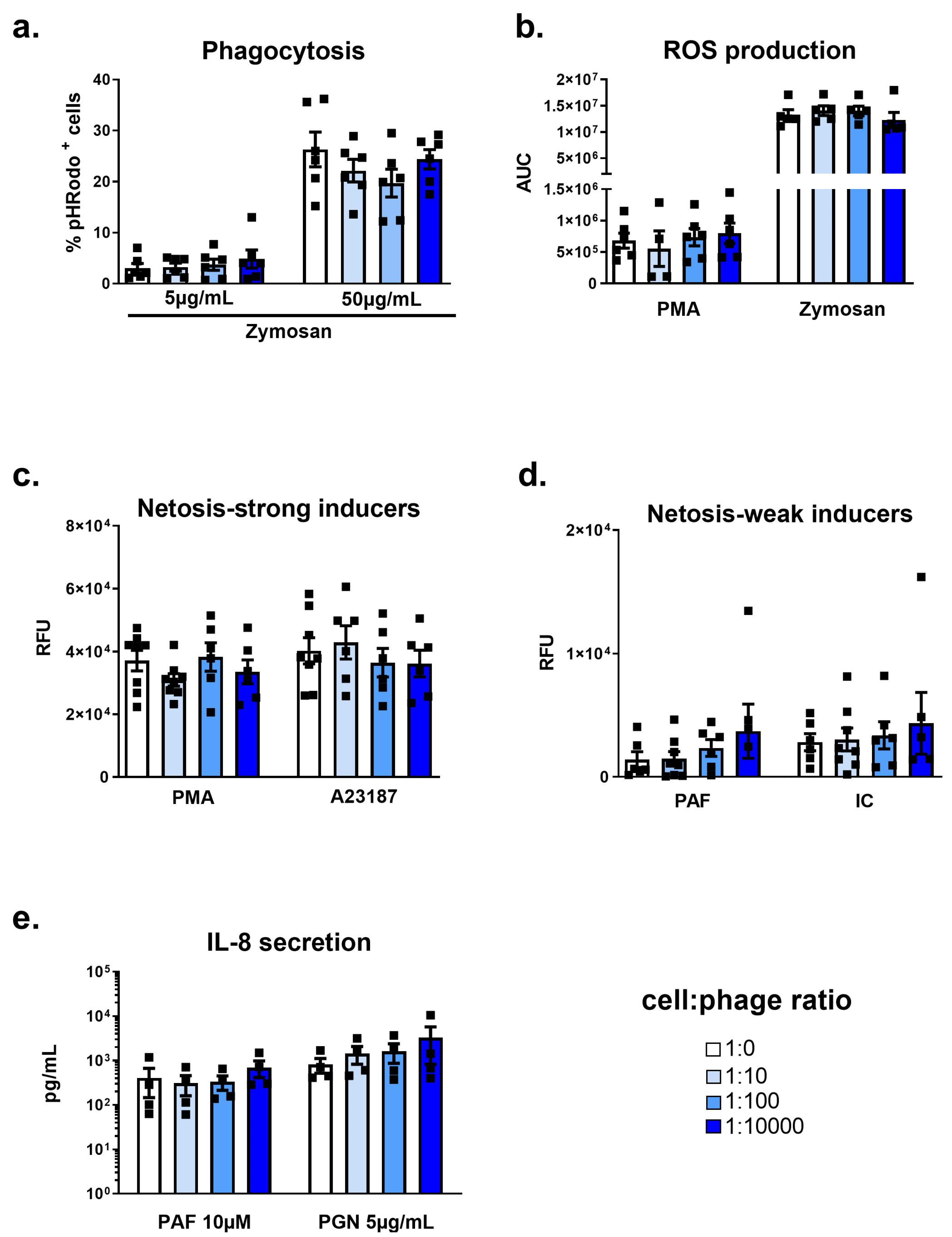 Viruses 15 01726 g004