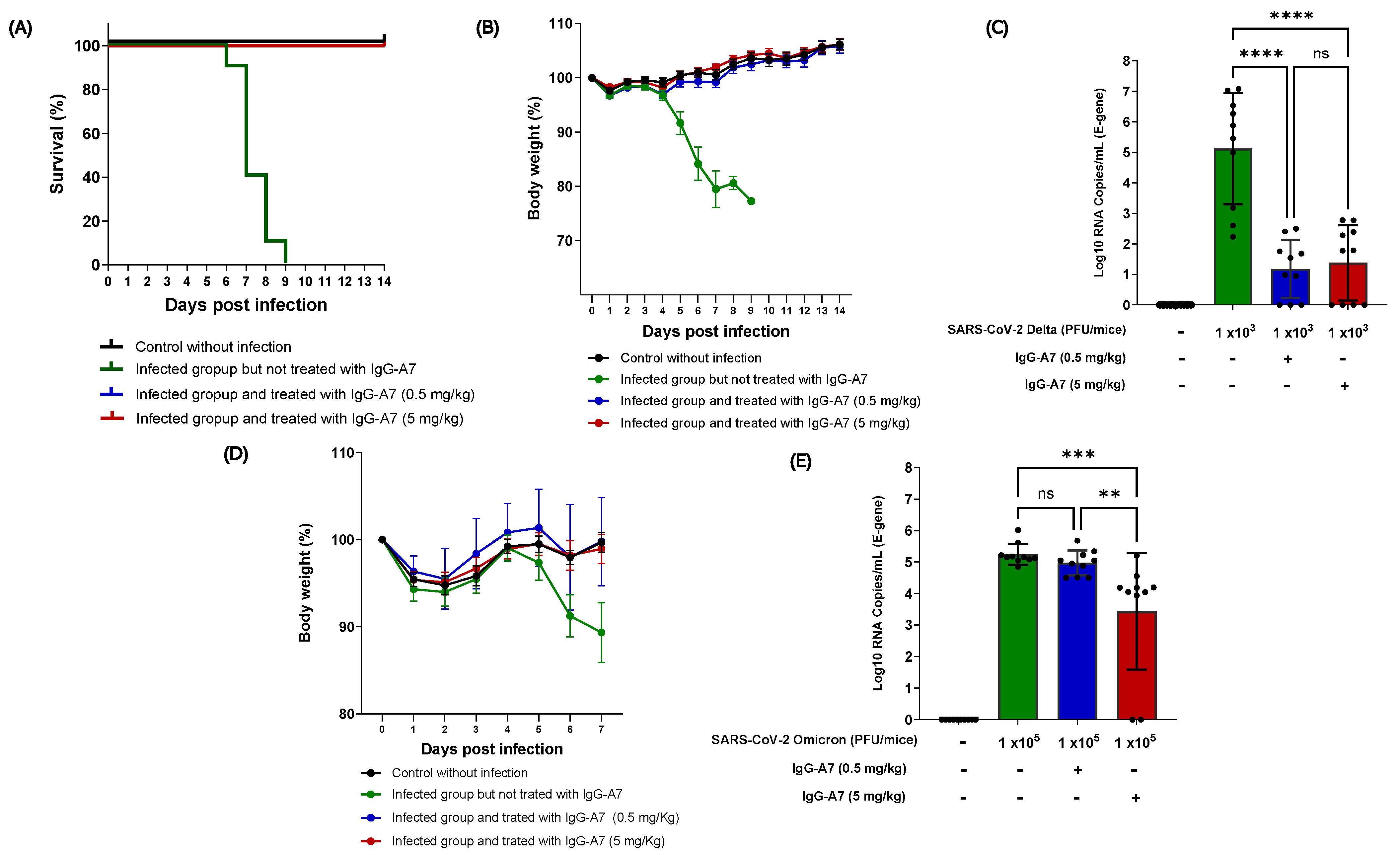 Viruses 15 01733 g001