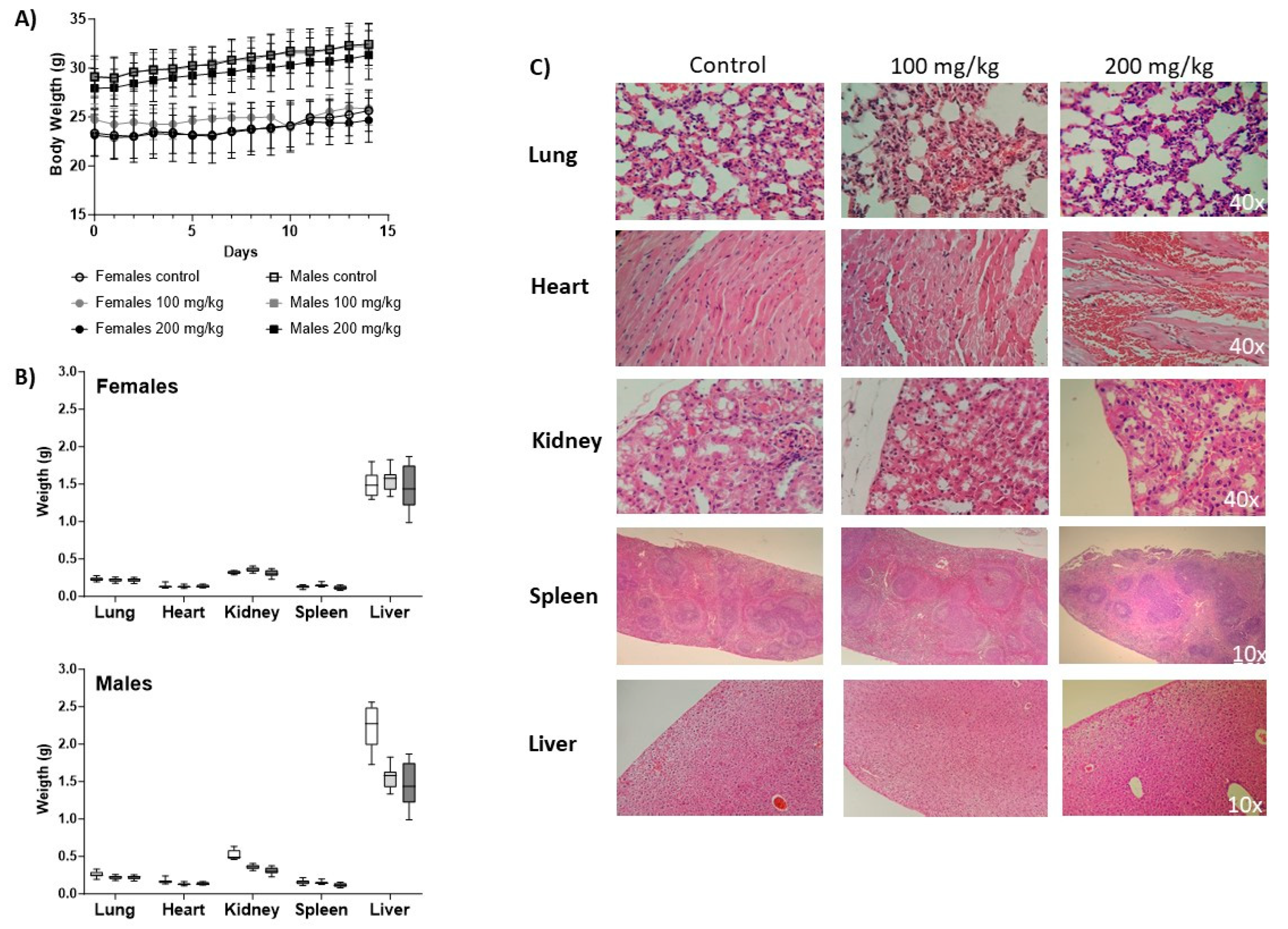 Viruses 15 01733 g003