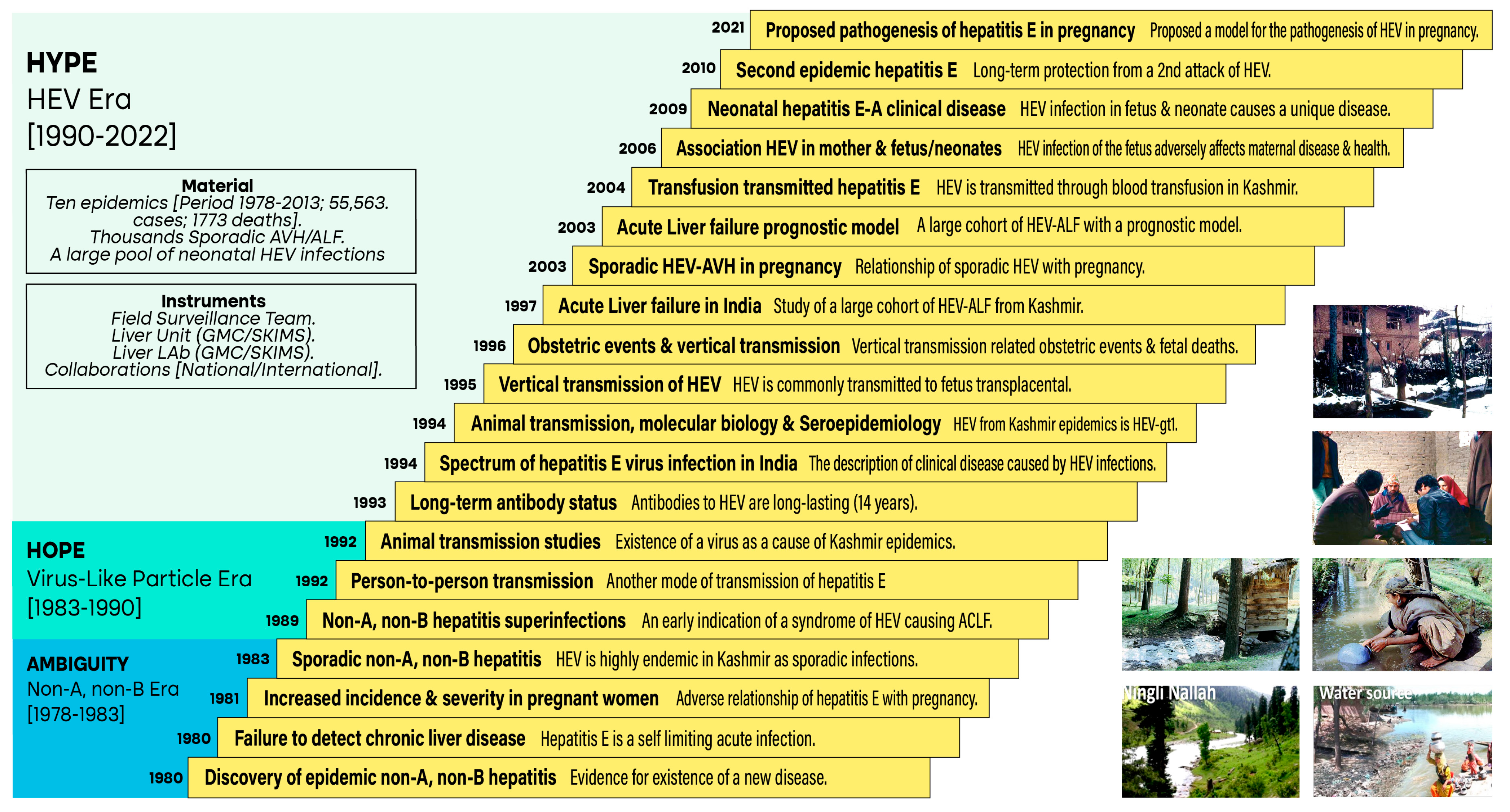 Viruses 15 01745 g002