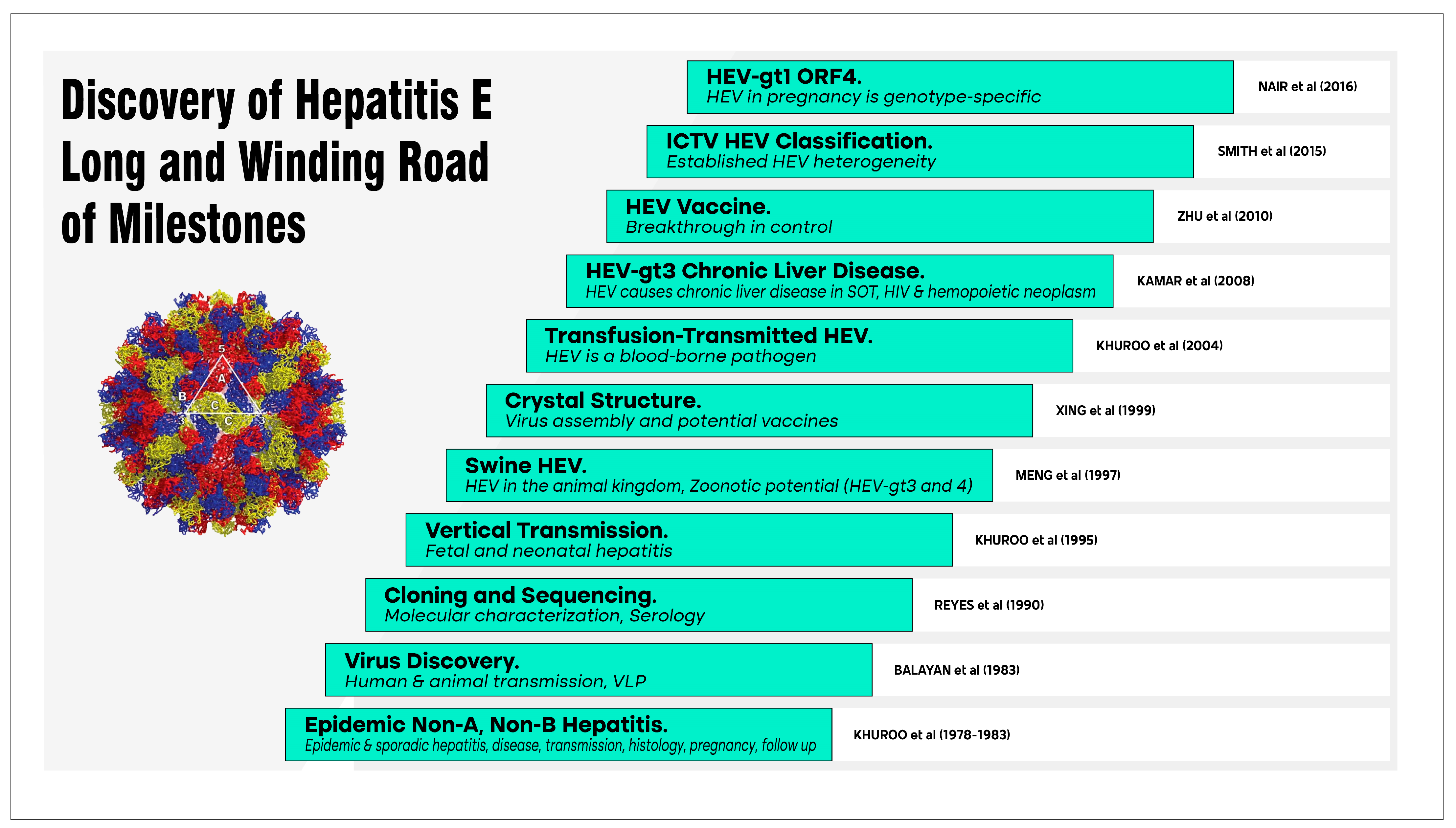 Viruses 15 01745 g004