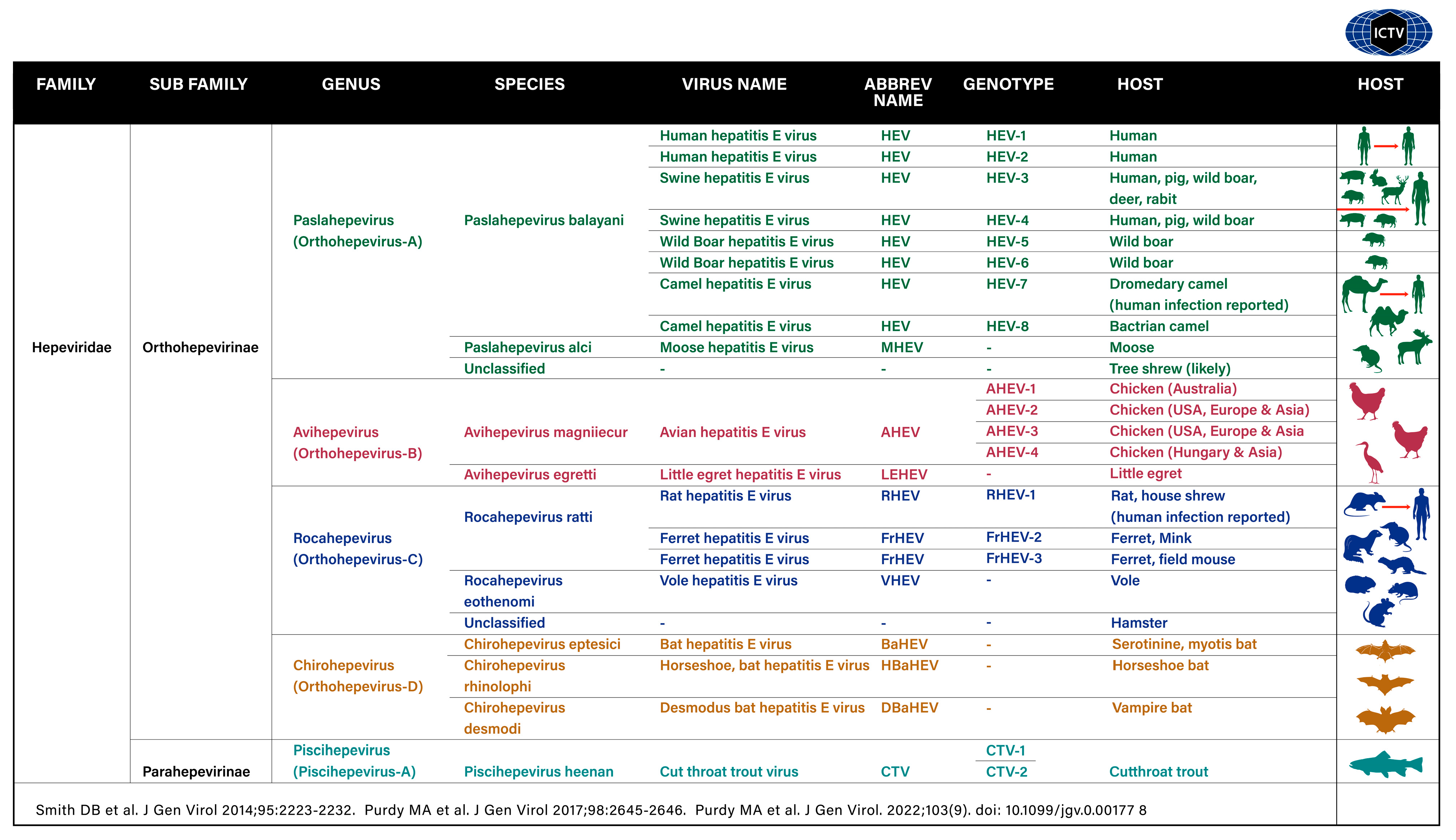 Viruses 15 01745 g005