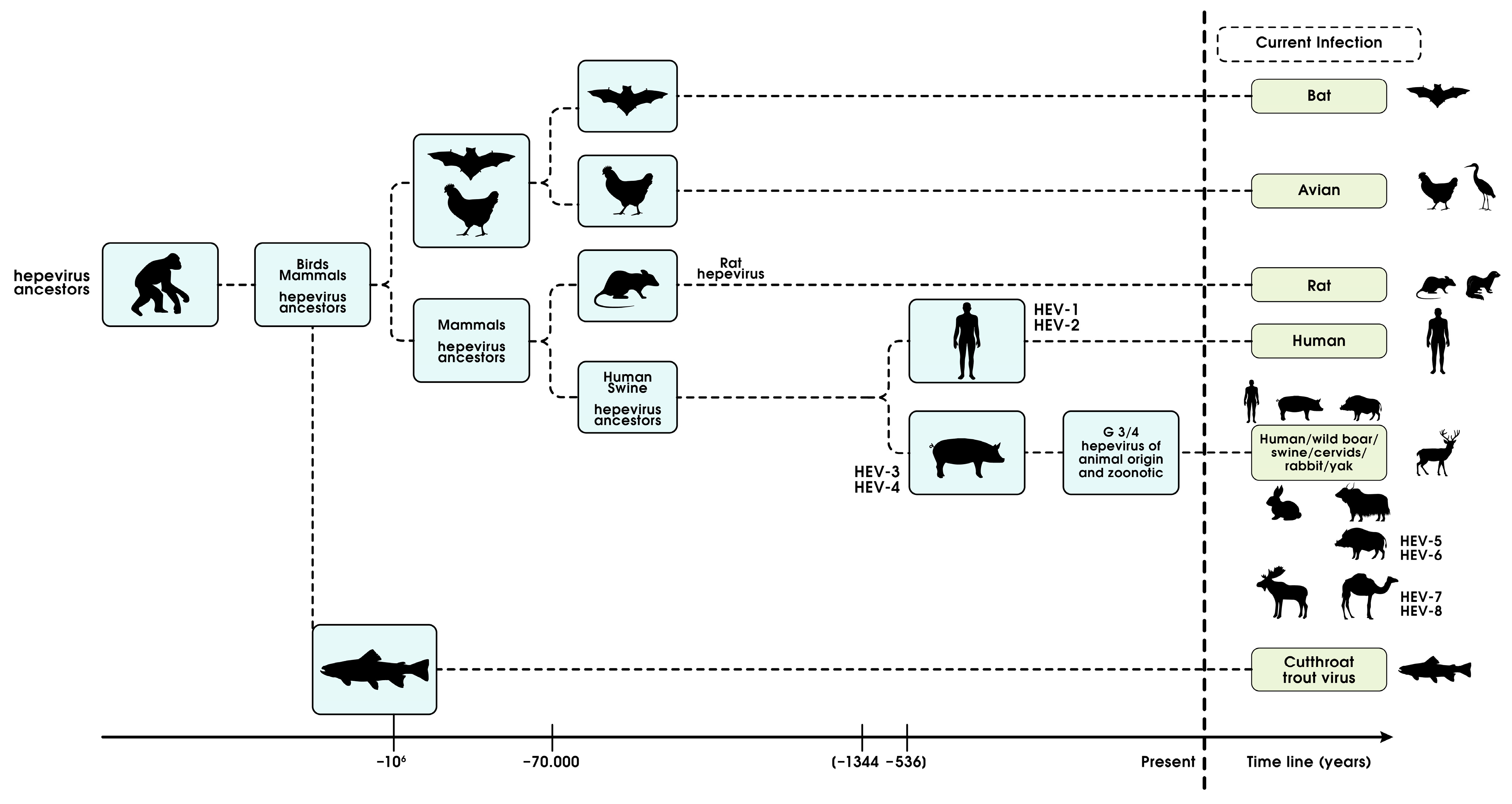 Viruses 15 01745 g008
