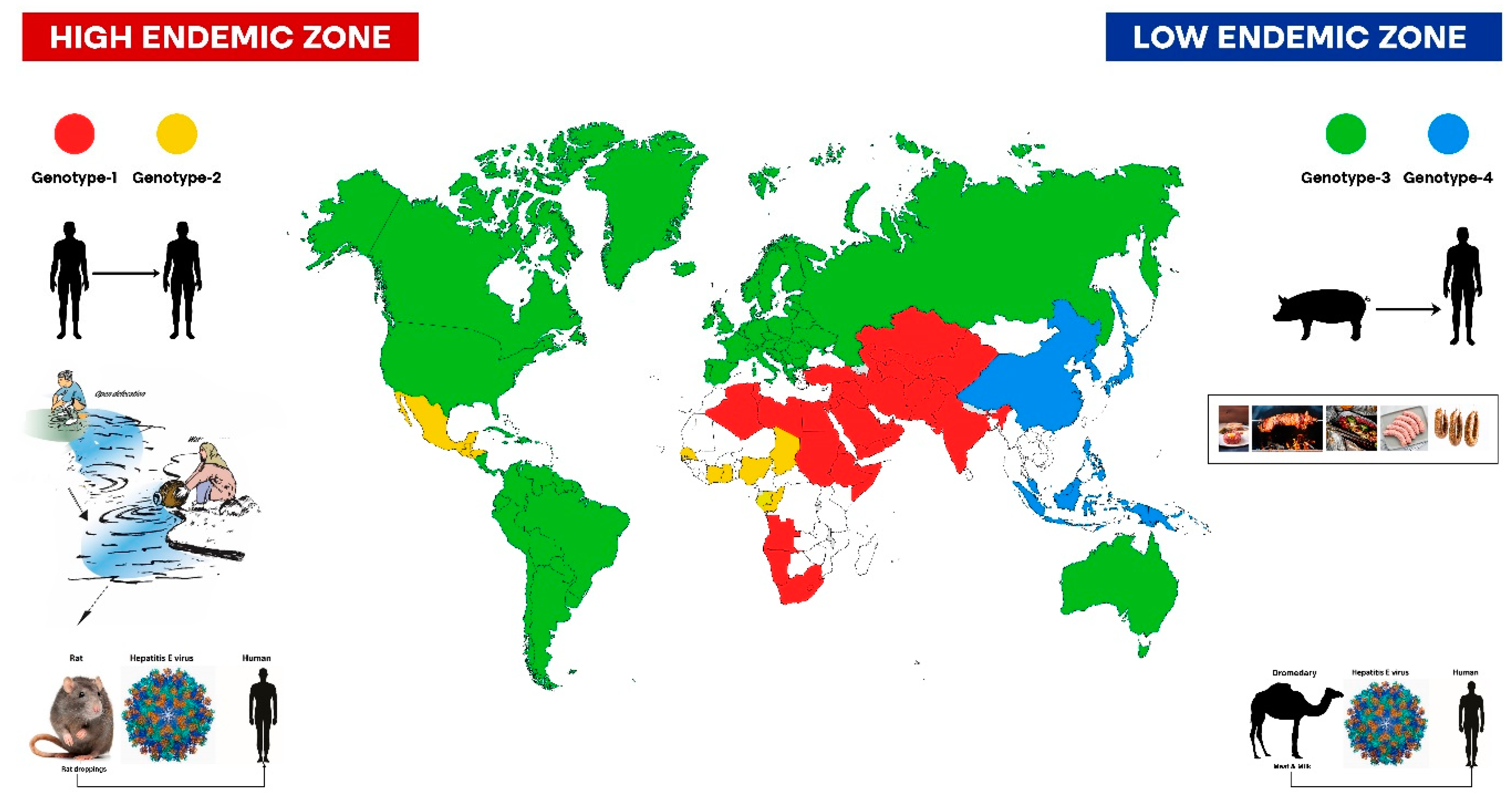 Viruses 15 01745 g009