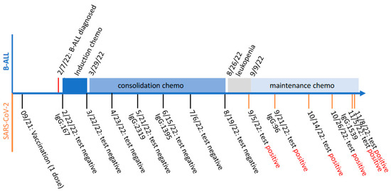 Viruses 15 01759 g001