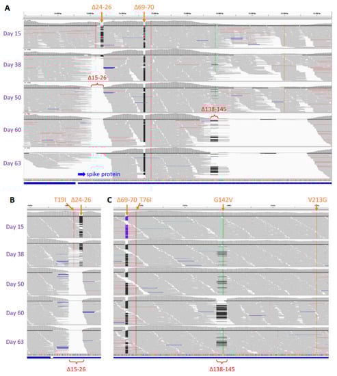 Viruses 15 01759 g002
