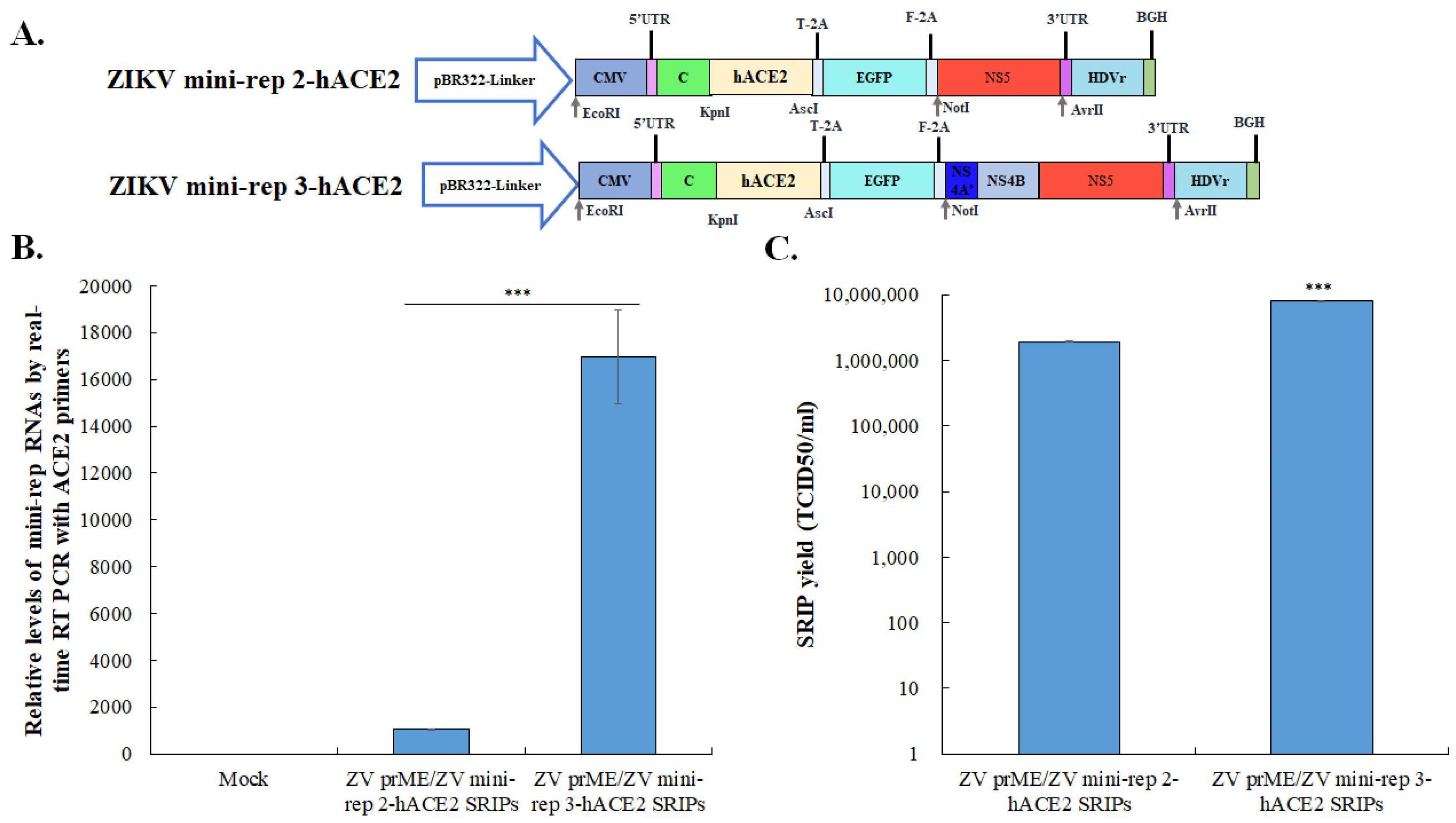 Viruses 15 01762 g007