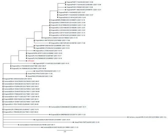 Viruses 15 01769 g0a2