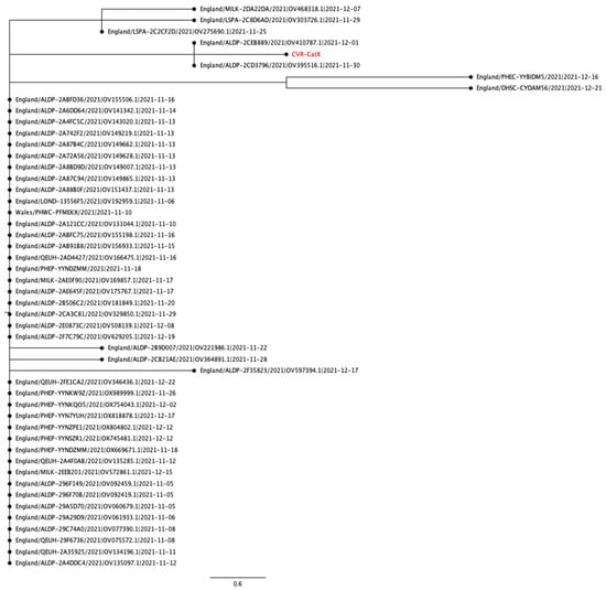 Viruses 15 01769 g0a3