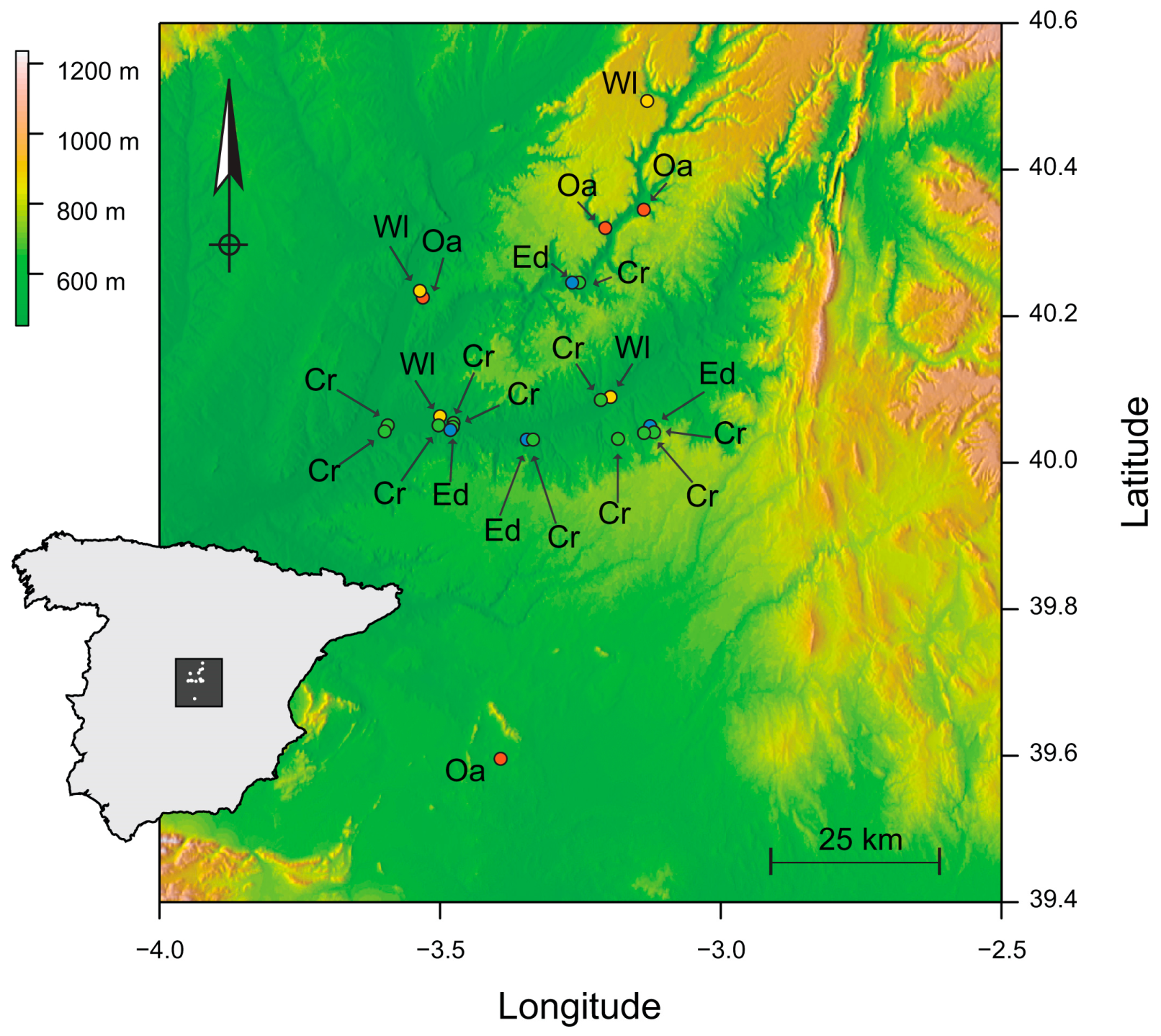Viruses 15 01779 g001 Viruses 15 01779 g001