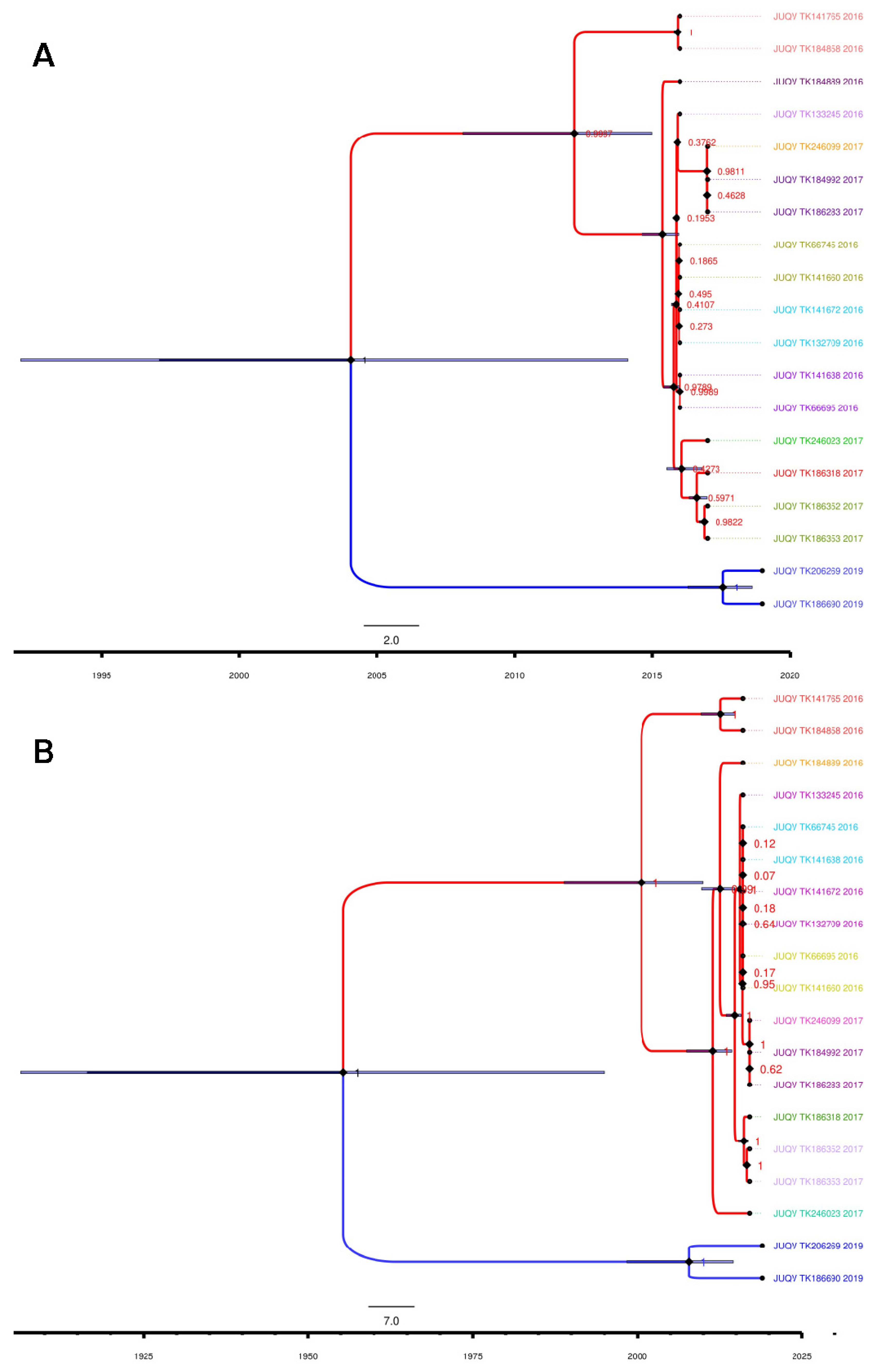 Viruses 15 01798 g003