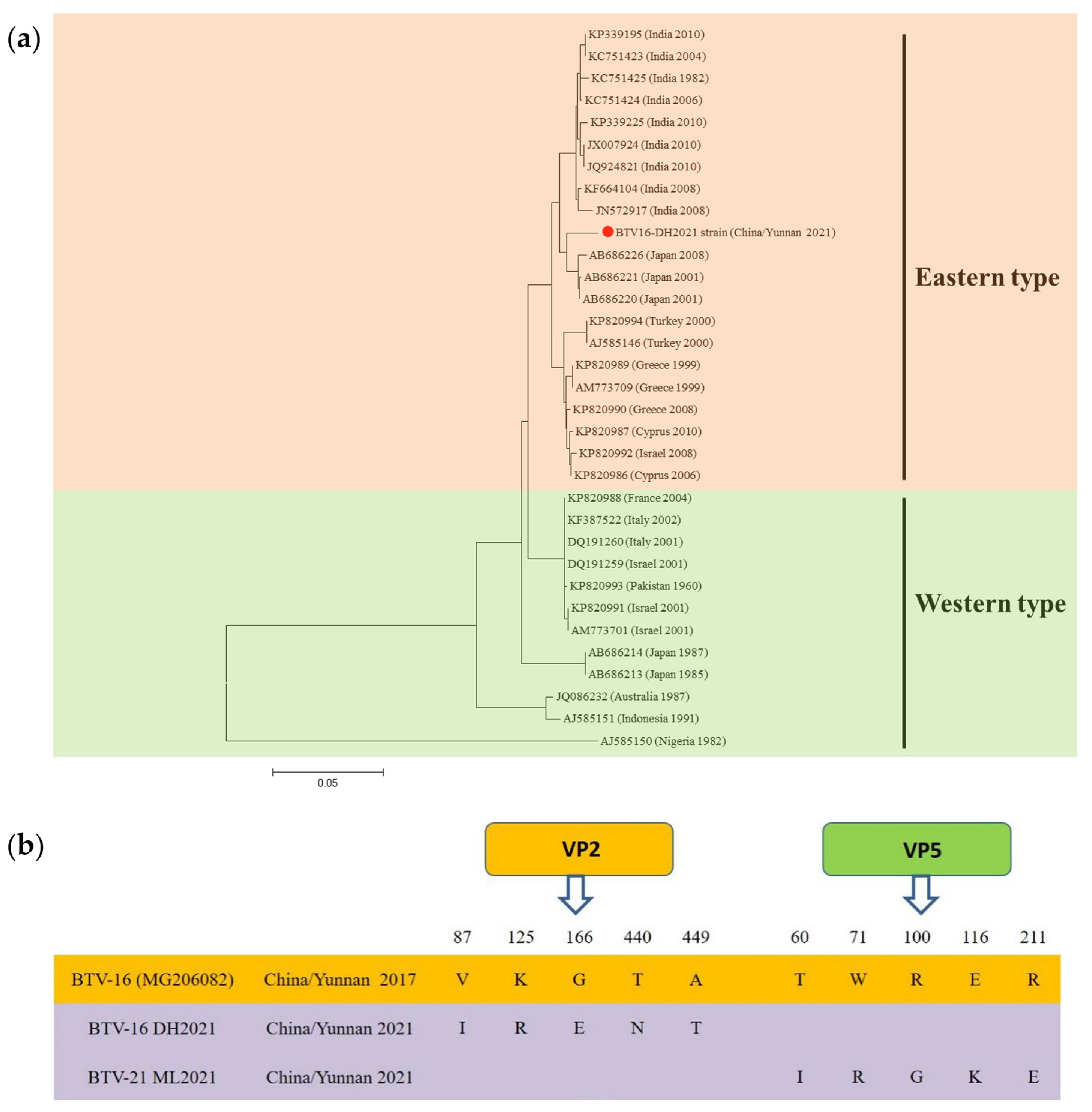 Viruses 15 01817 g001