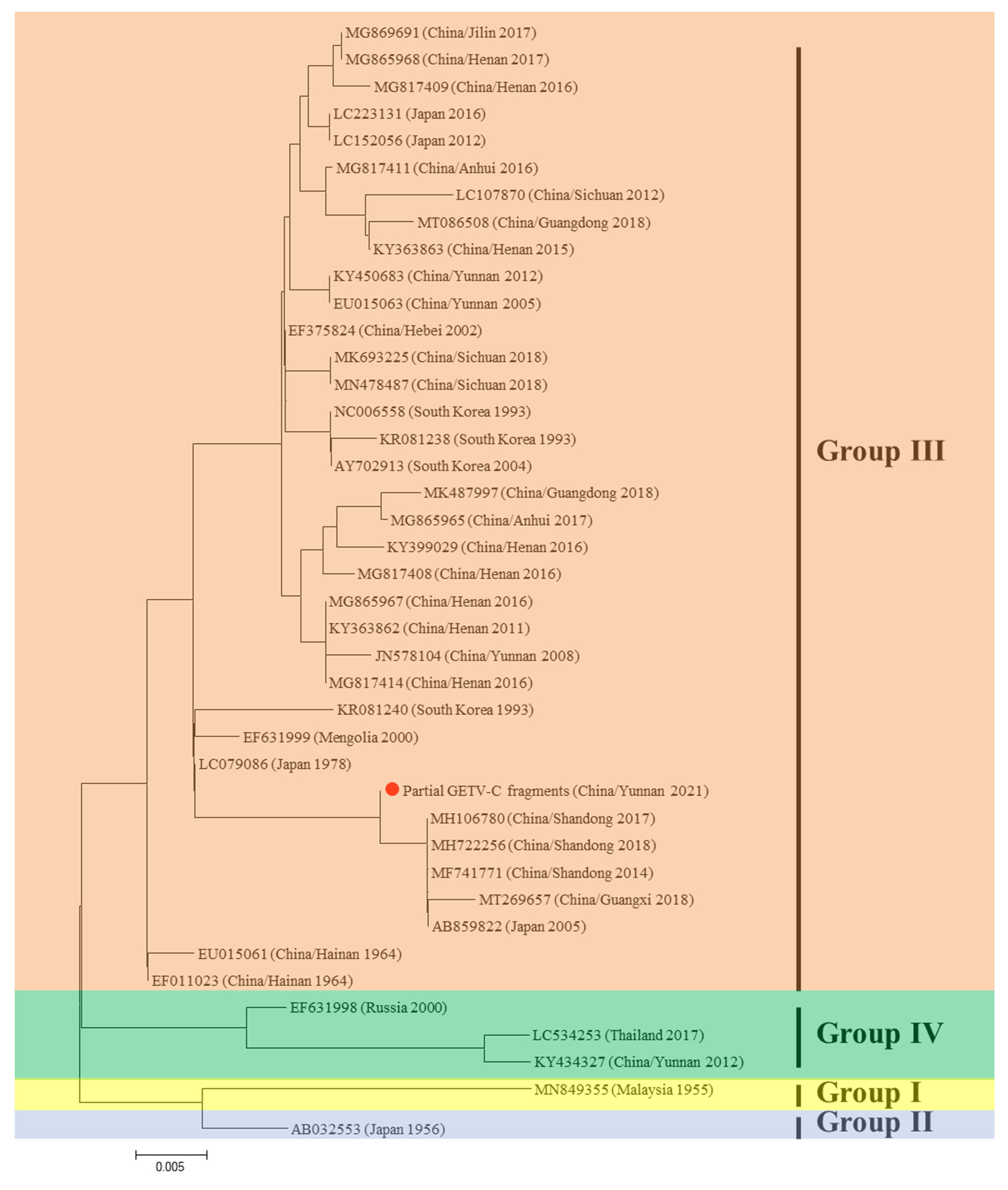 Viruses 15 01817 g003