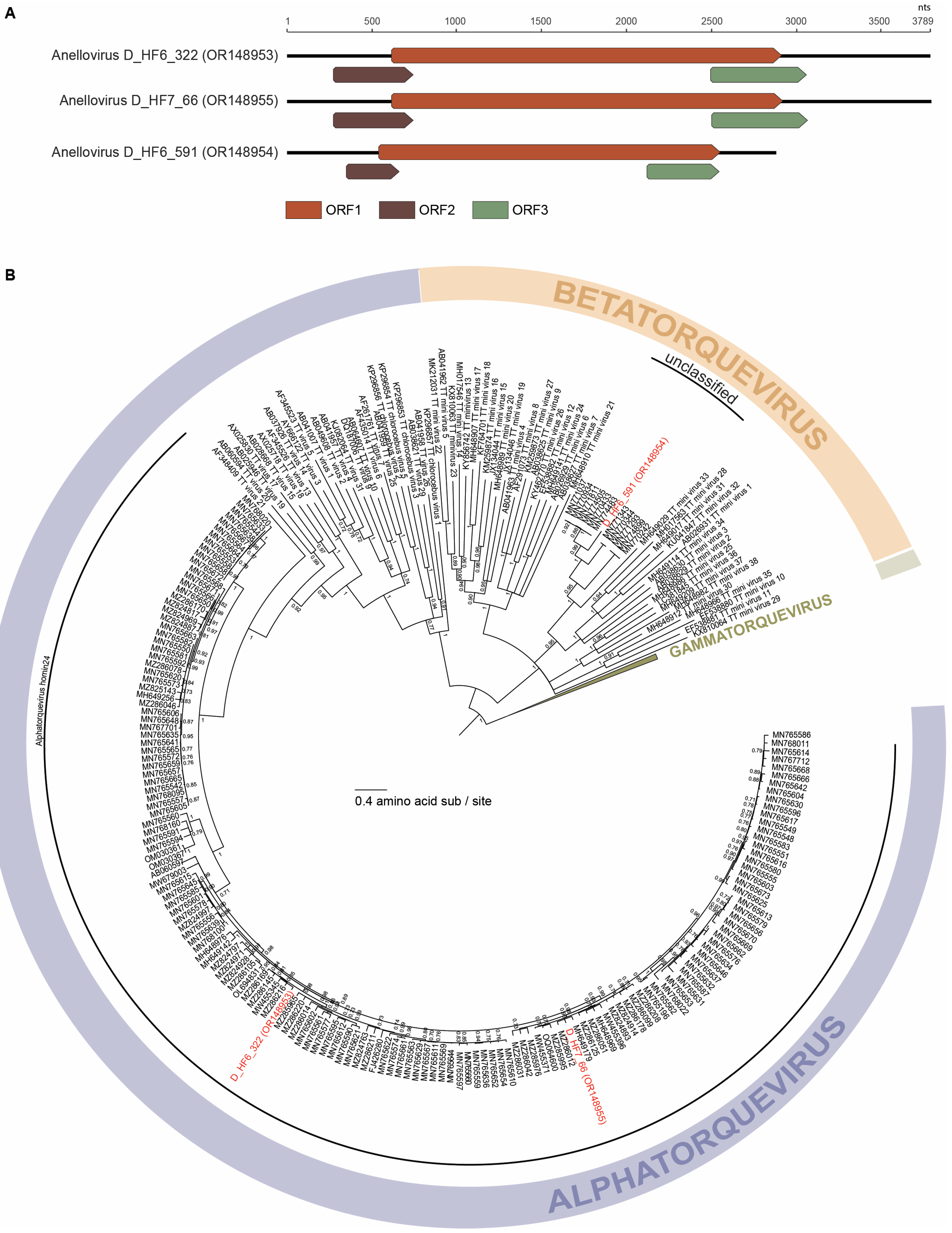 Viruses 15 01821 g002