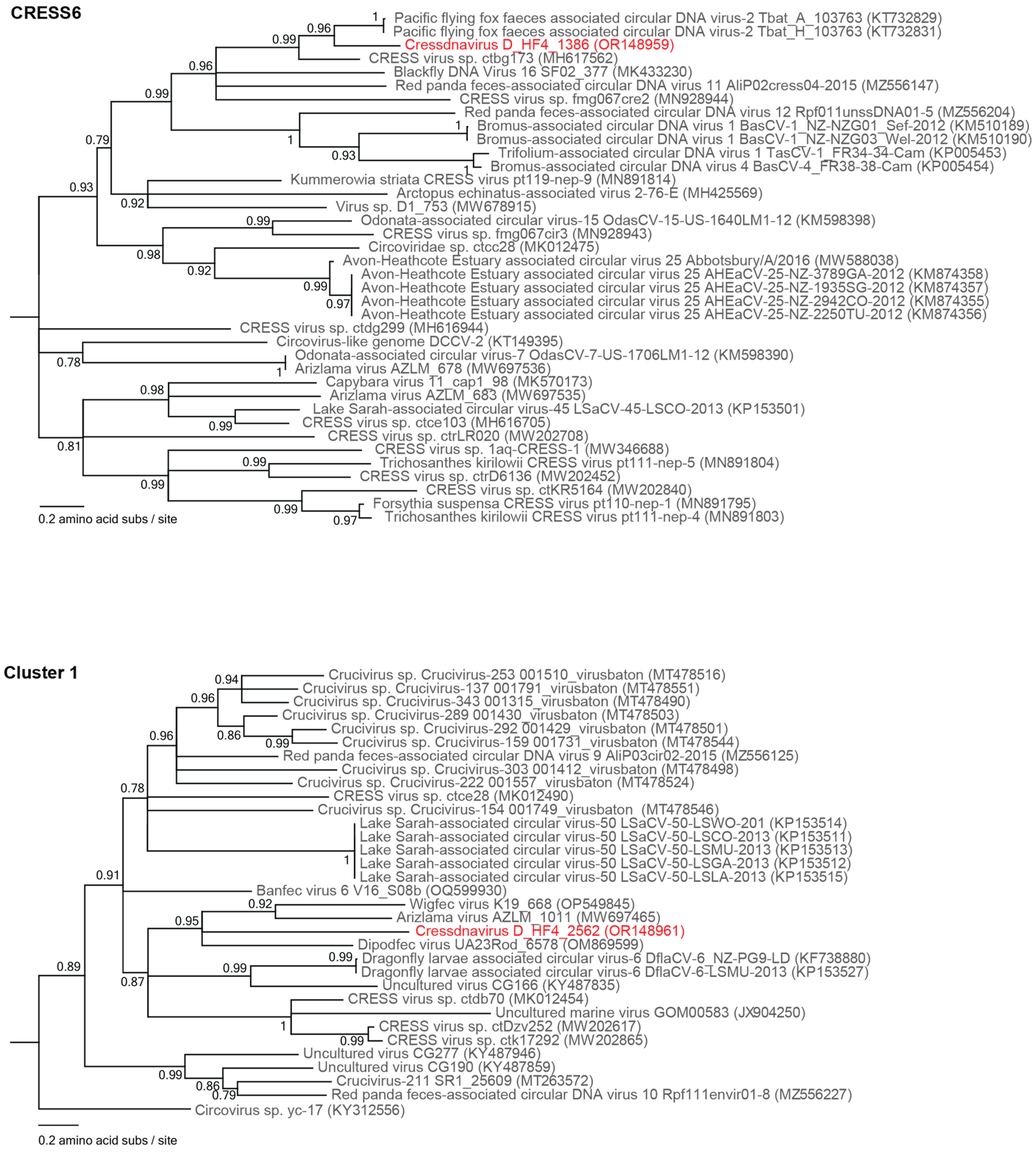 Viruses 15 01821 g005