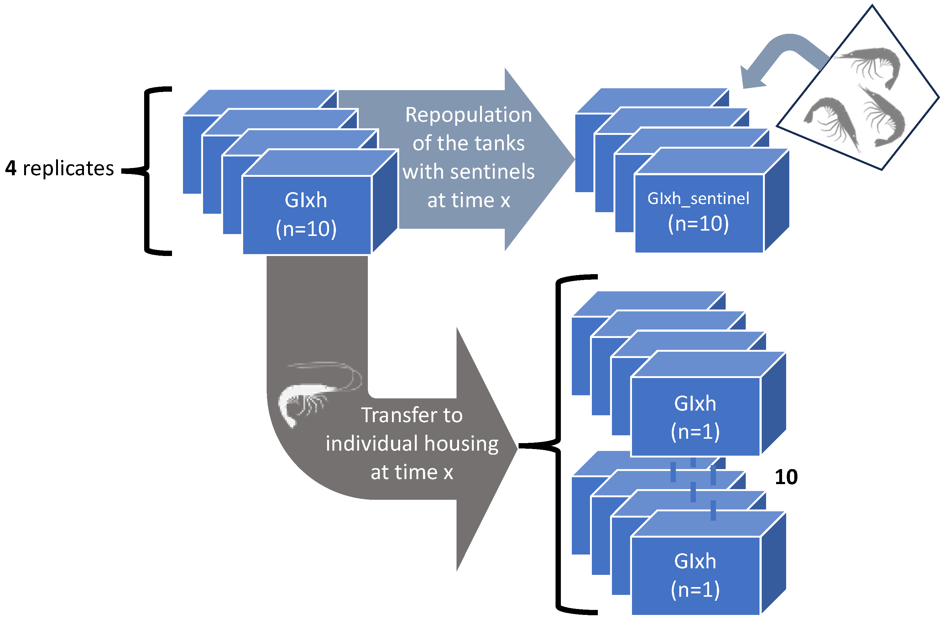 Viruses 15 01824 g003