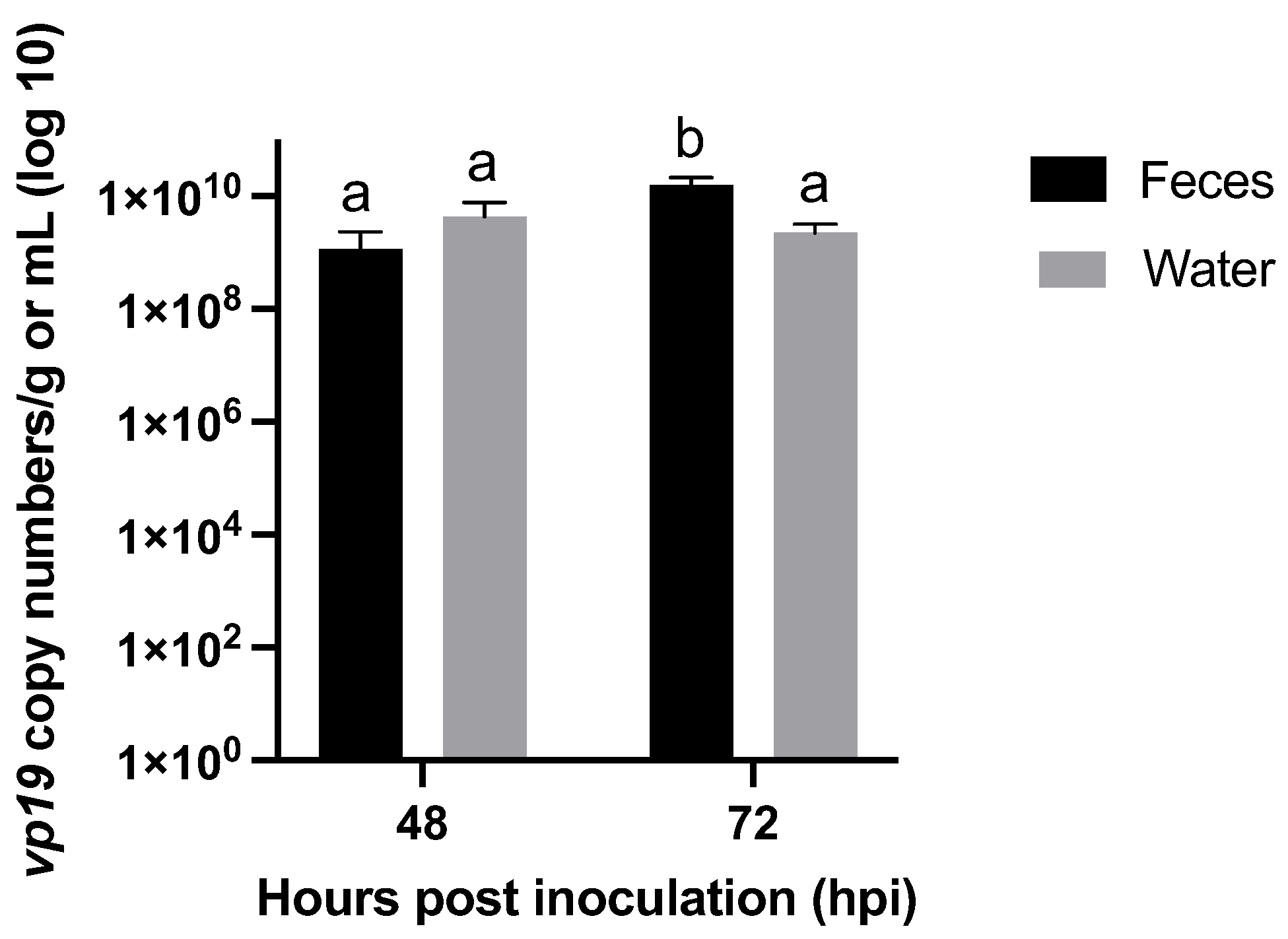 Viruses 15 01824 g012