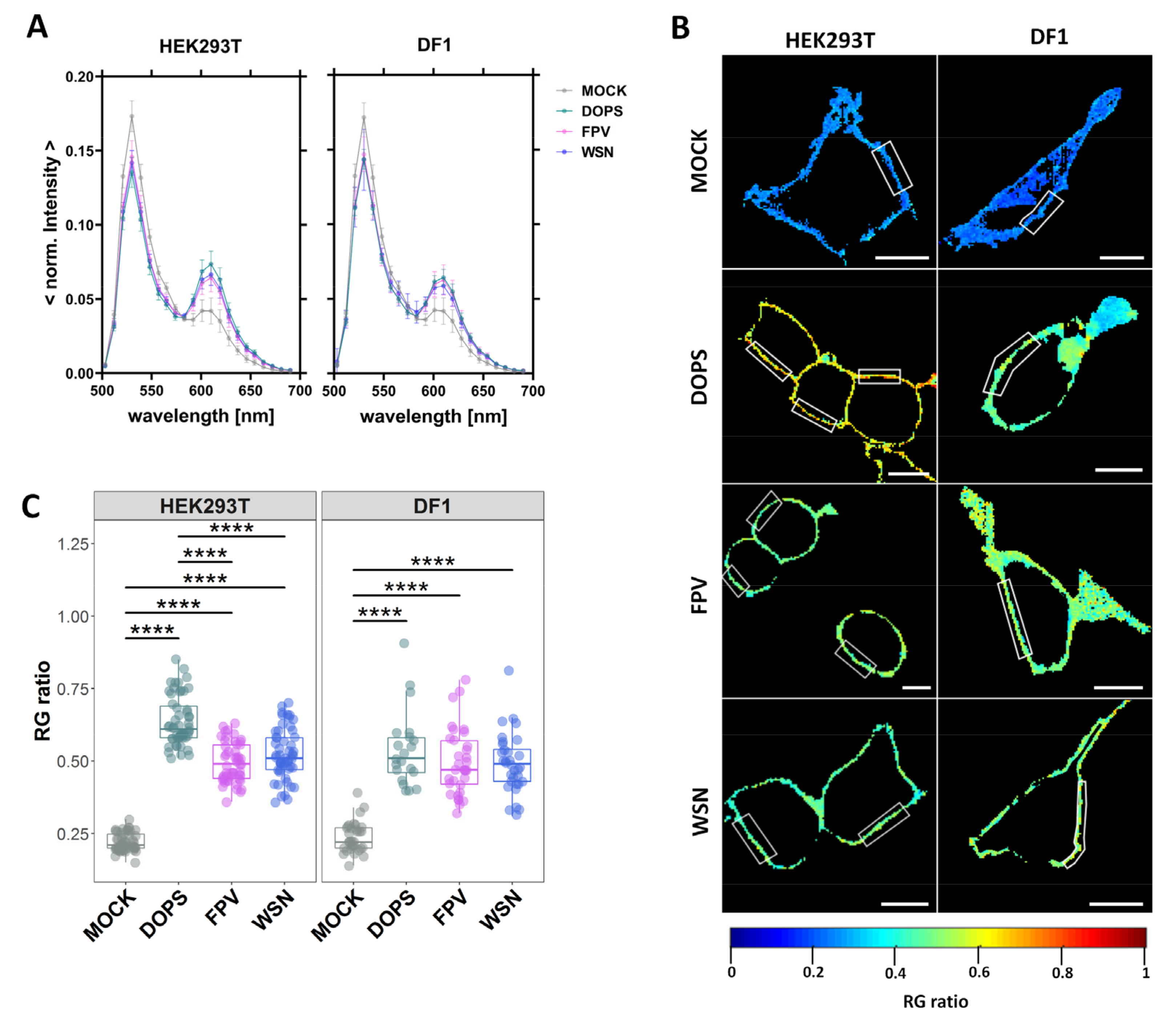 Viruses 15 01830 g001
