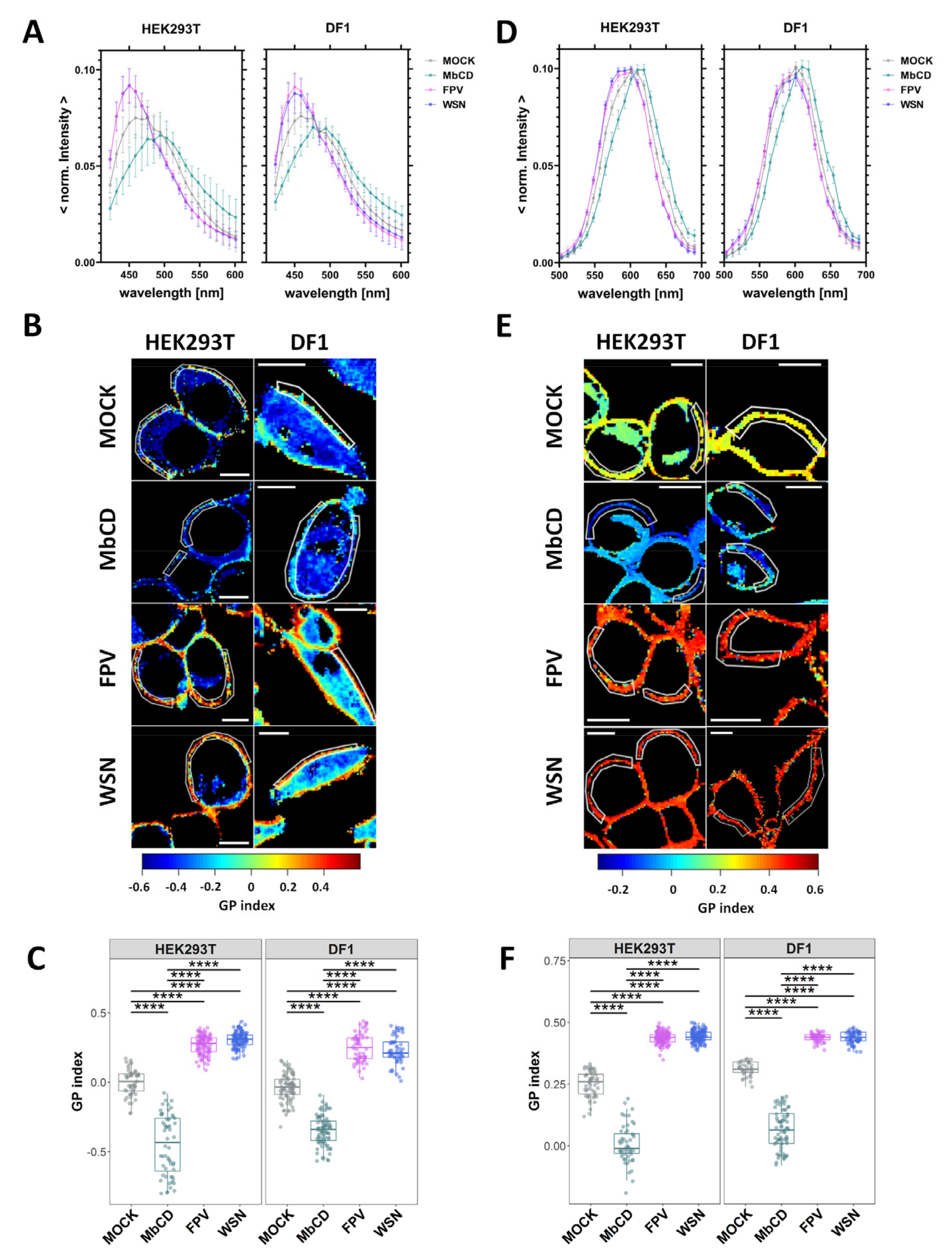 Viruses 15 01830 g002