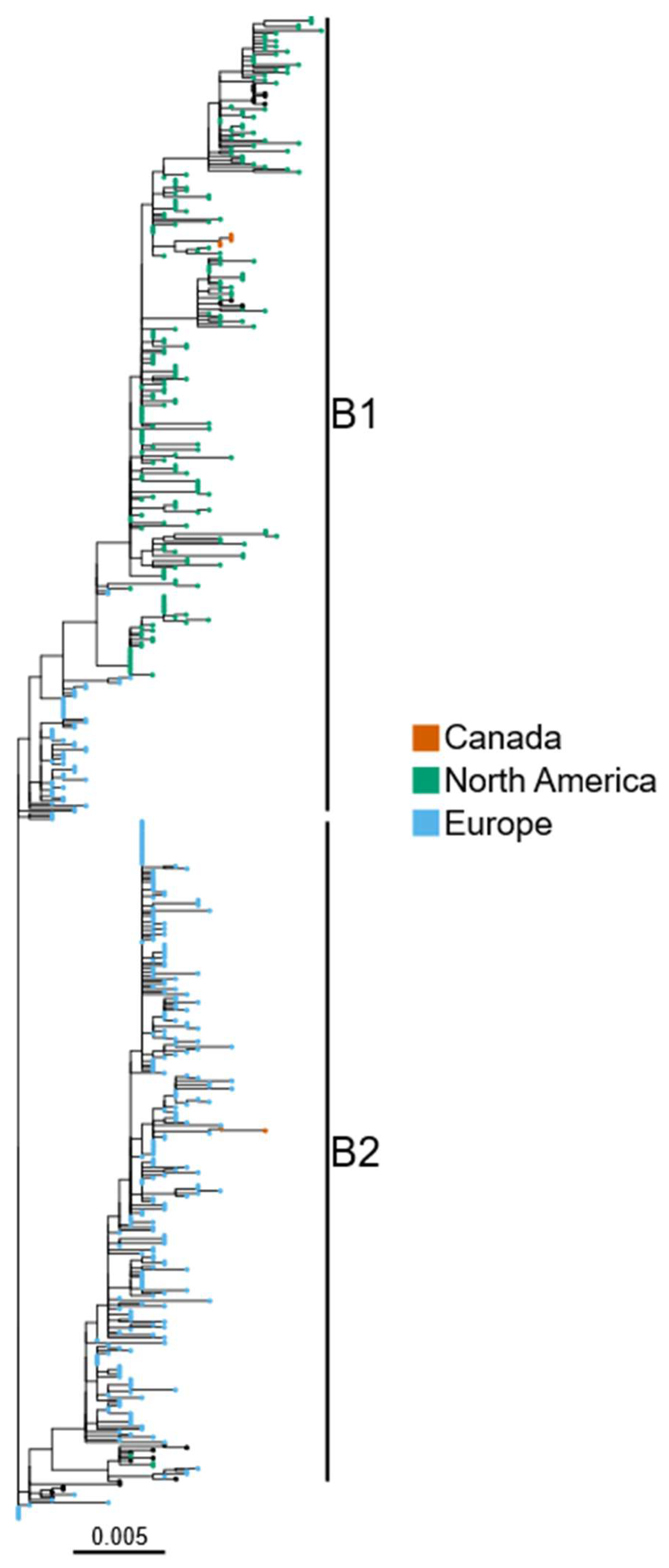 Viruses 15 01836 g001