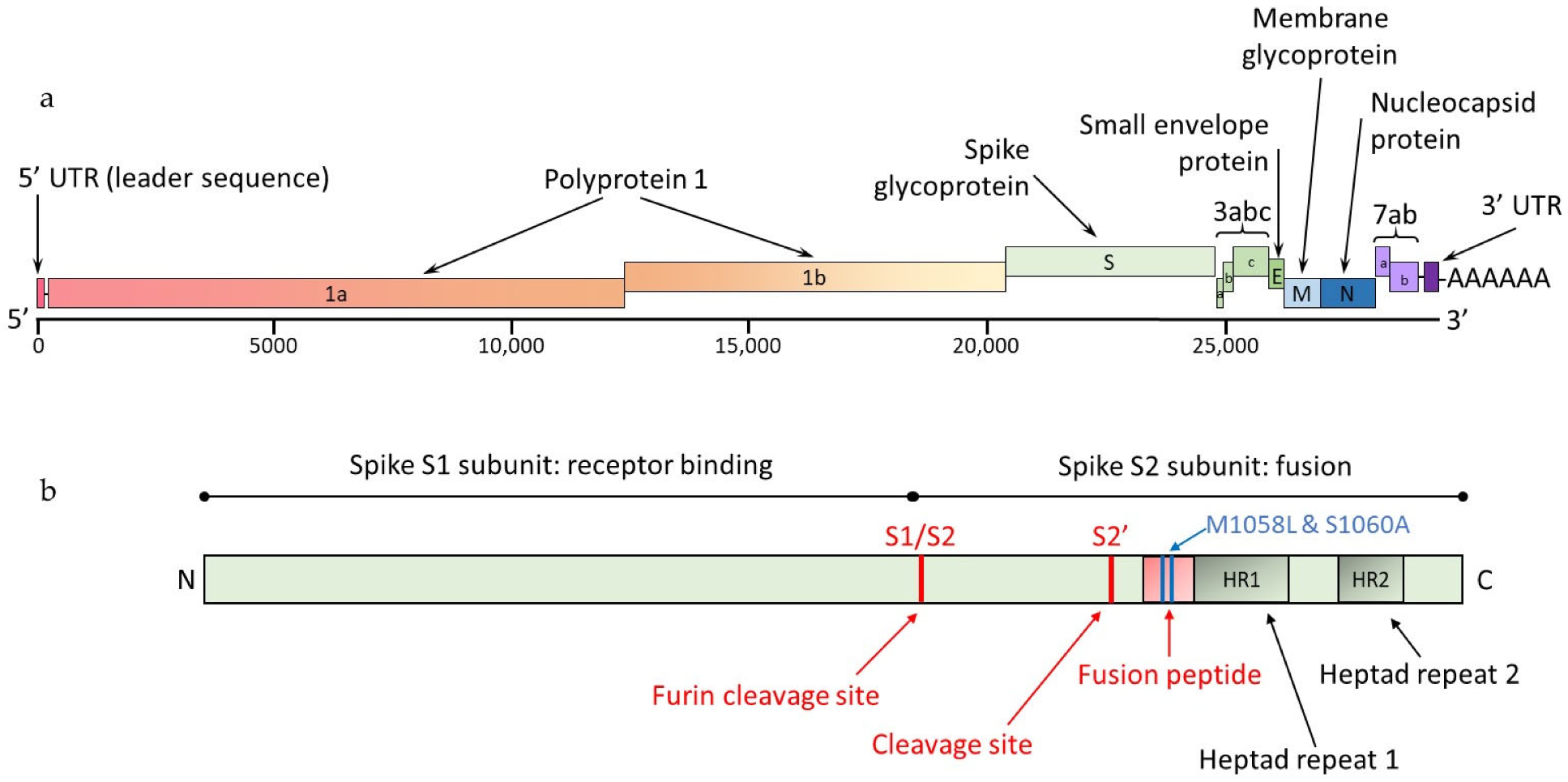 Viruses 15 01847 g001