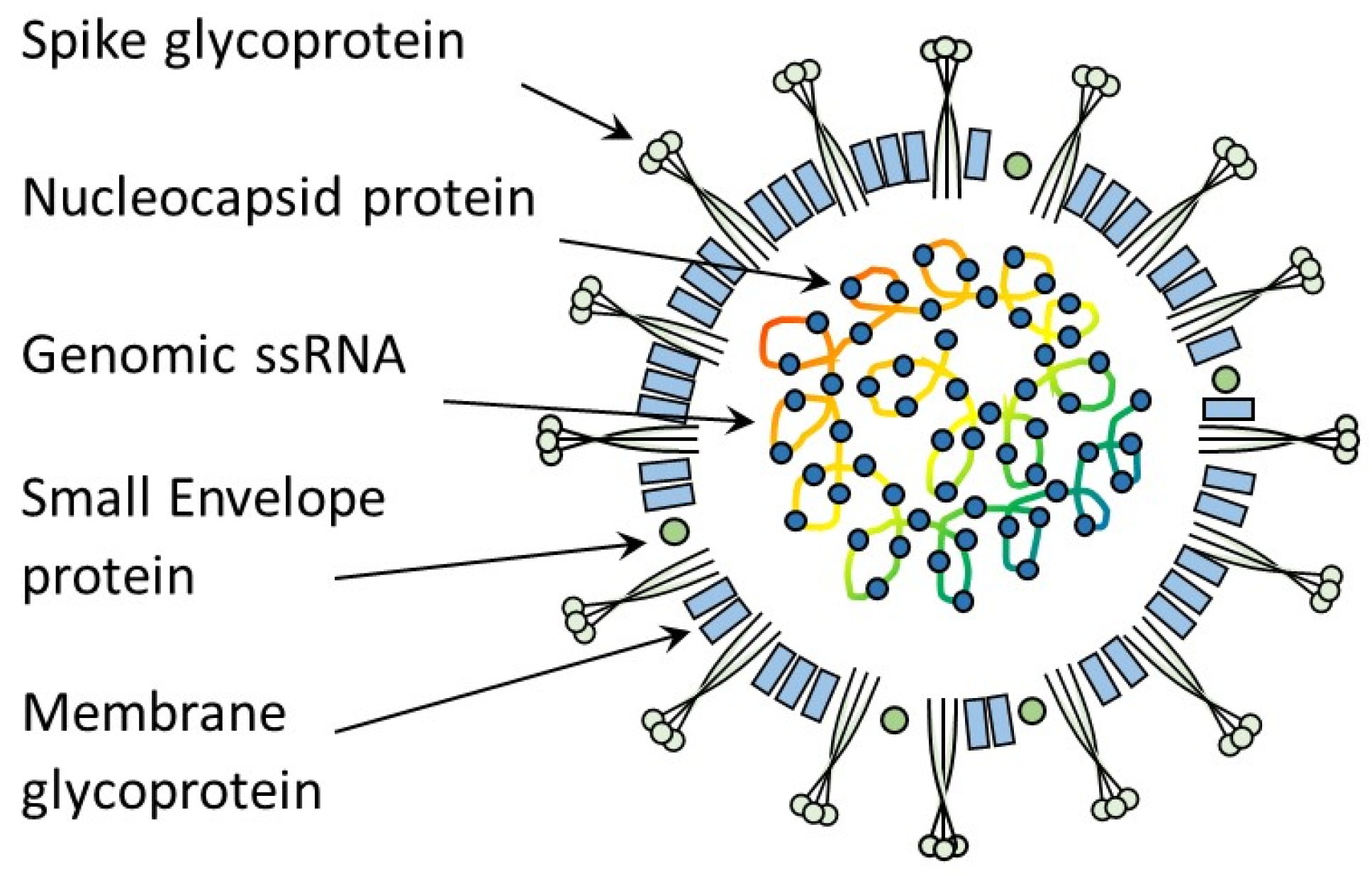 Viruses 15 01847 g002
