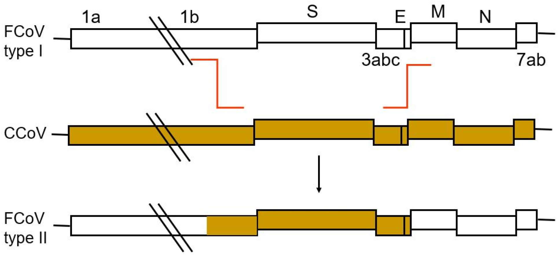 Viruses 15 01847 g003