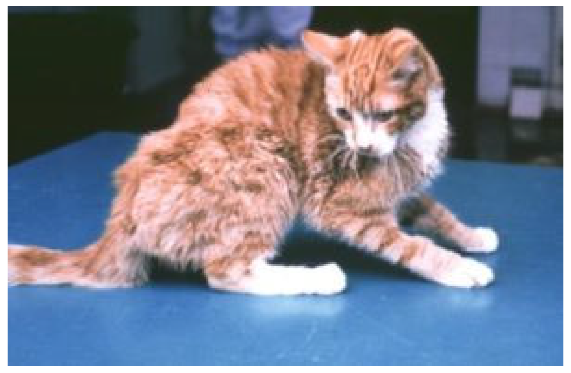 Viruses 15 01847 g007