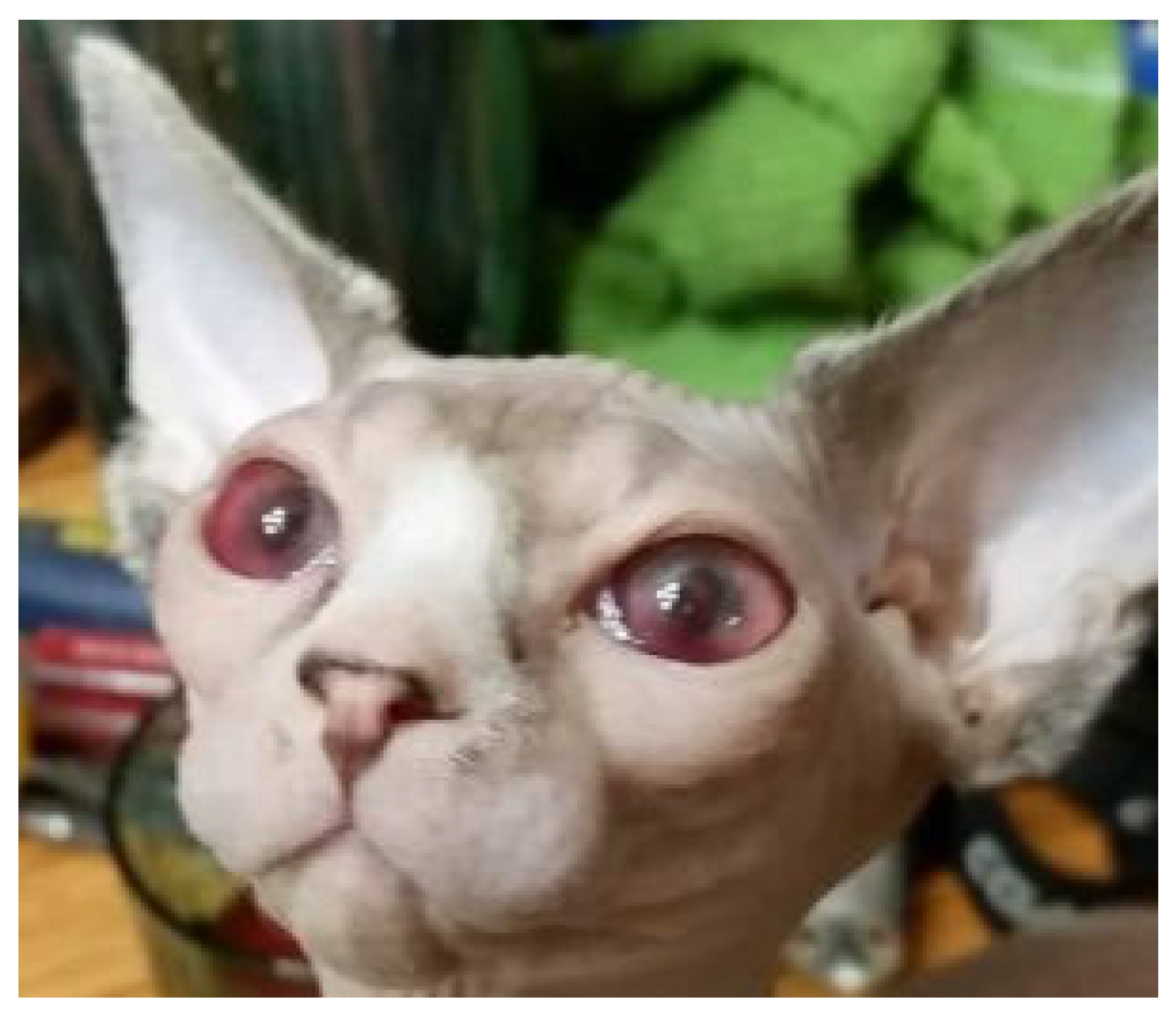 Viruses 15 01847 g008