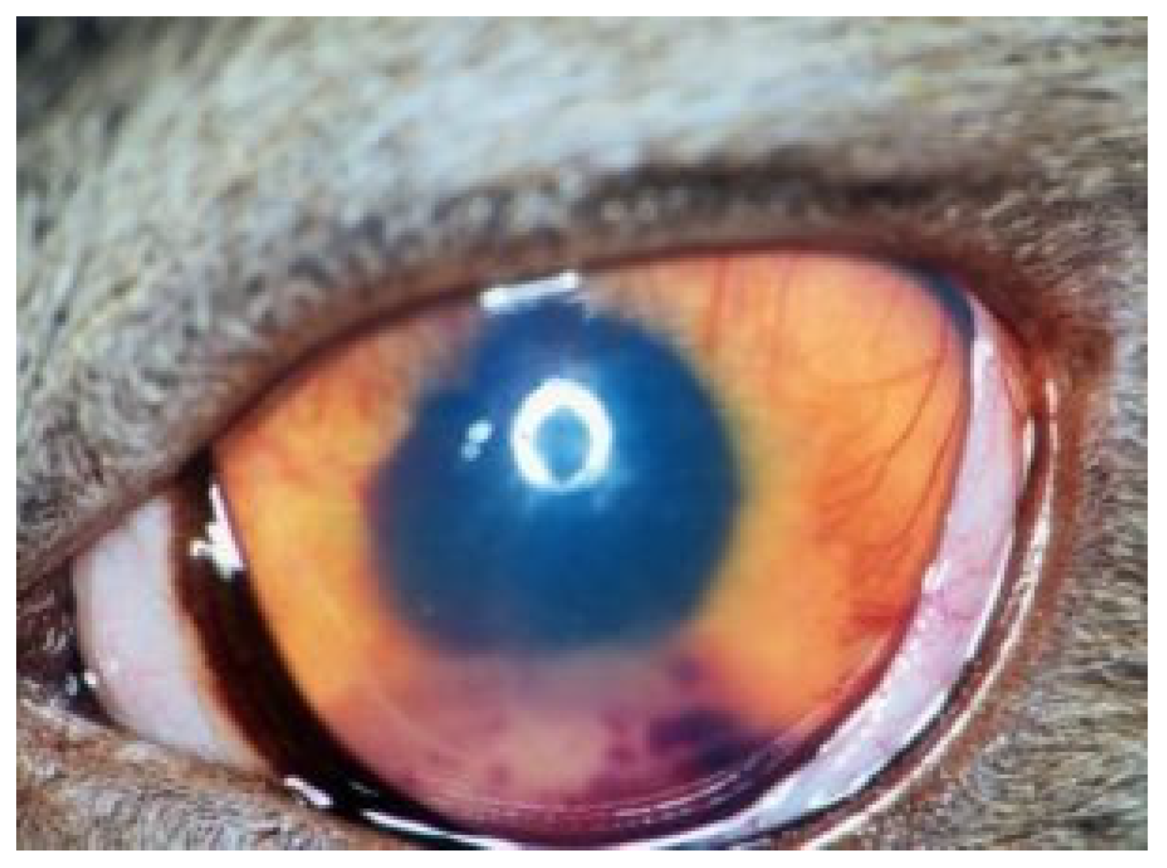 Viruses 15 01847 g010