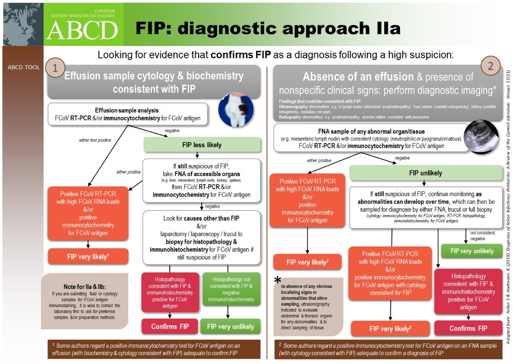 Viruses 15 01847 g012