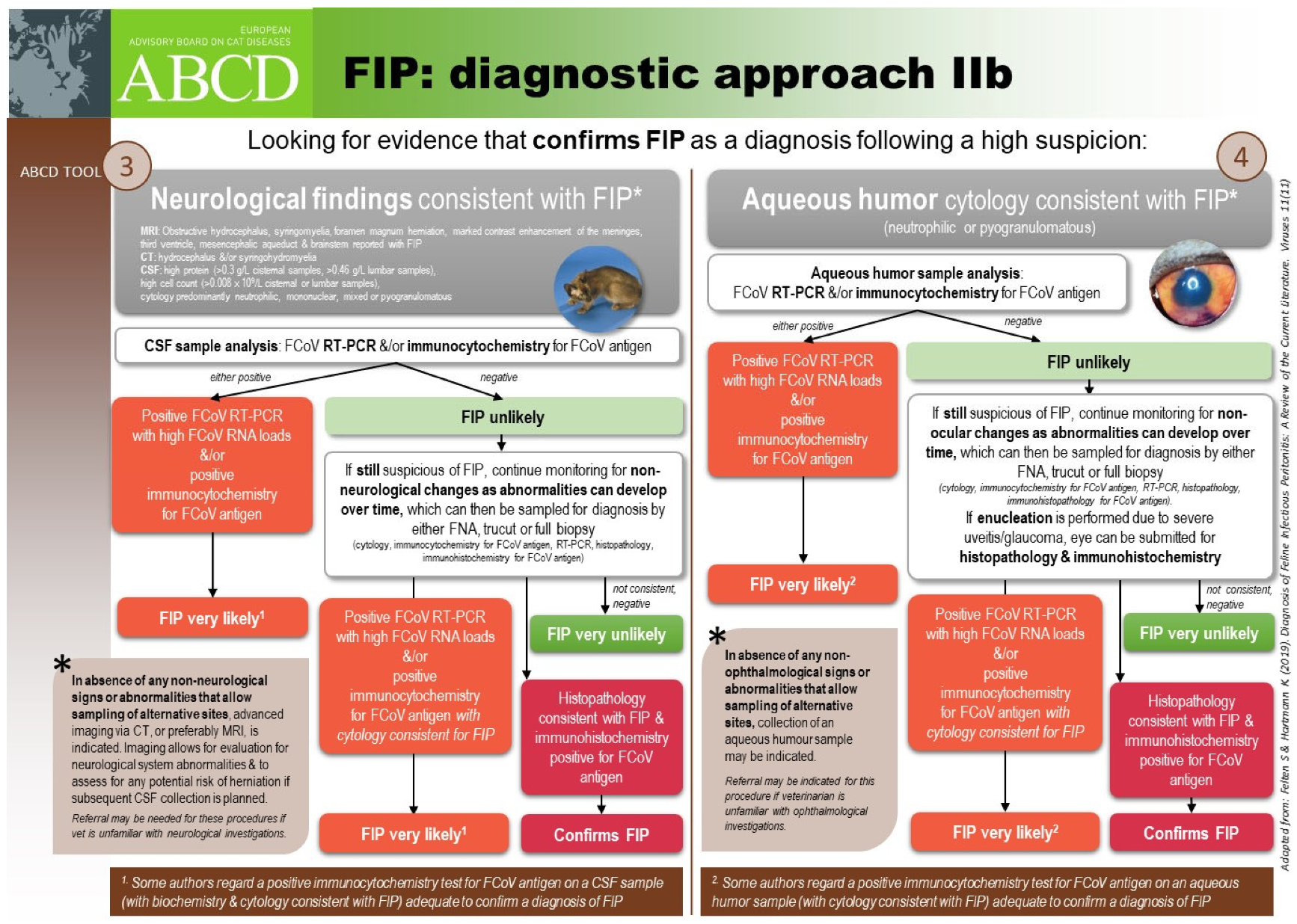 Viruses 15 01847 g013