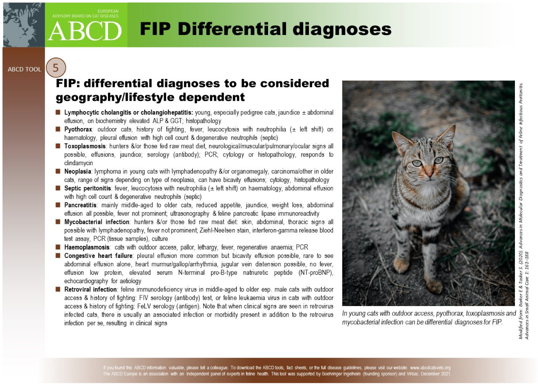 Viruses 15 01847 g014