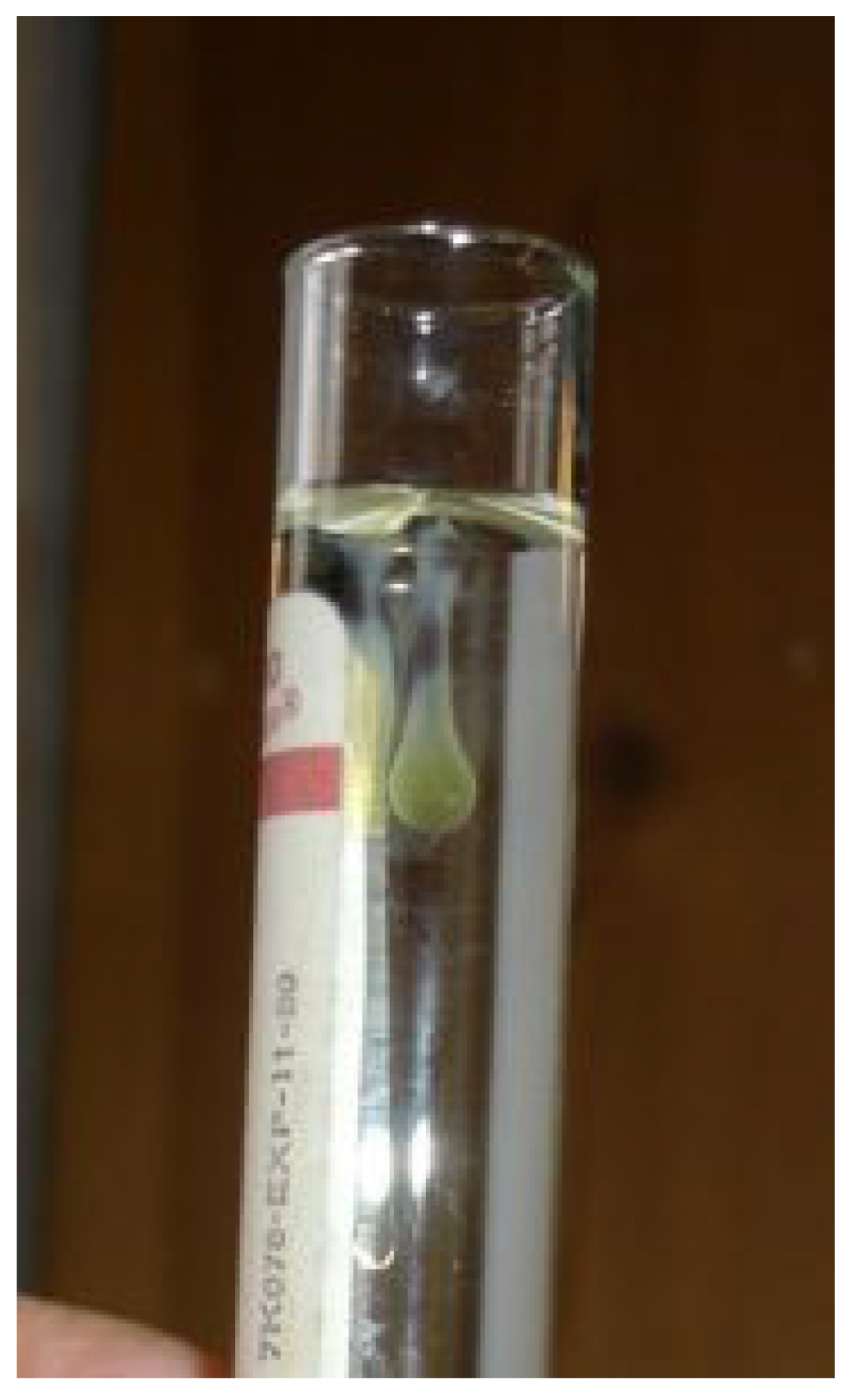 Viruses 15 01847 g016