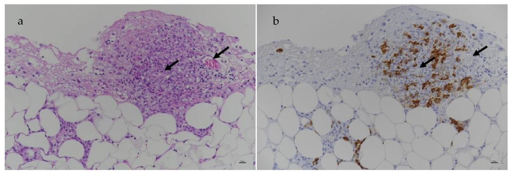 Viruses 15 01847 g024
