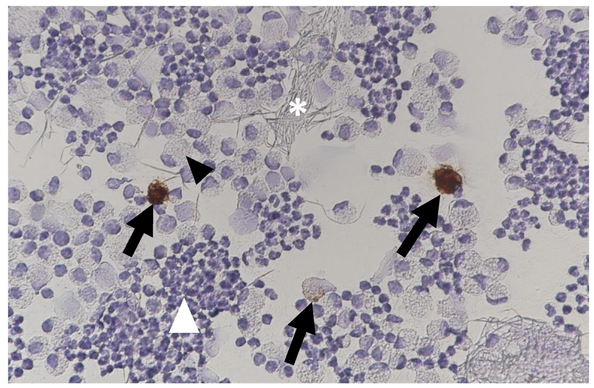 Viruses 15 01847 g030