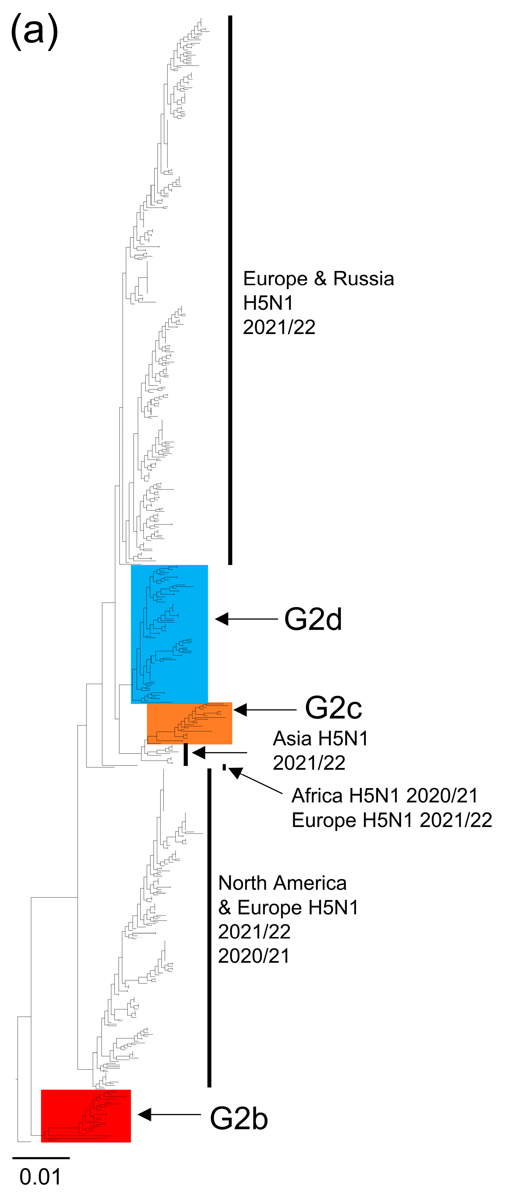 Viruses 15 01865 g002a