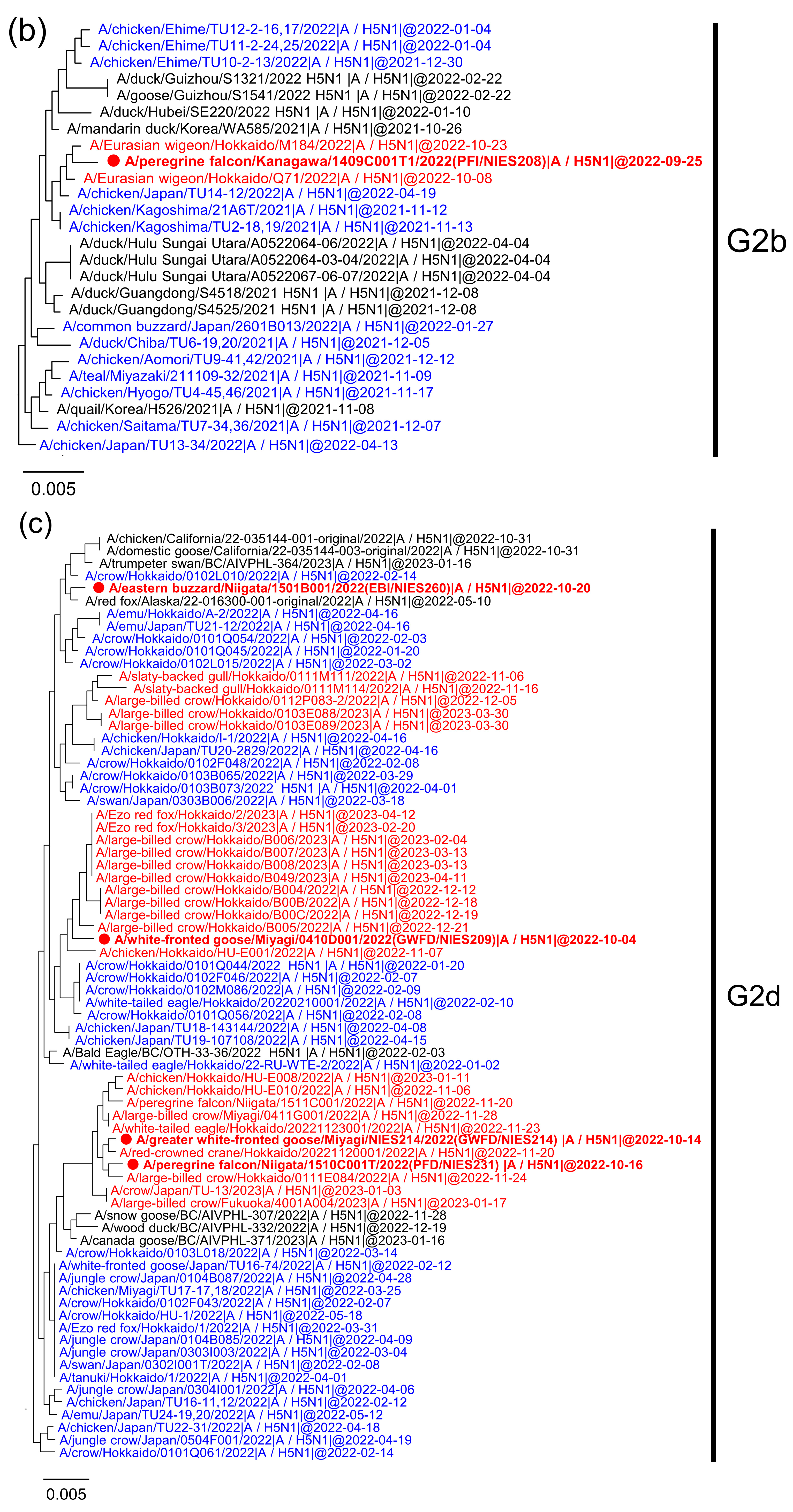 Viruses 15 01865 g002b