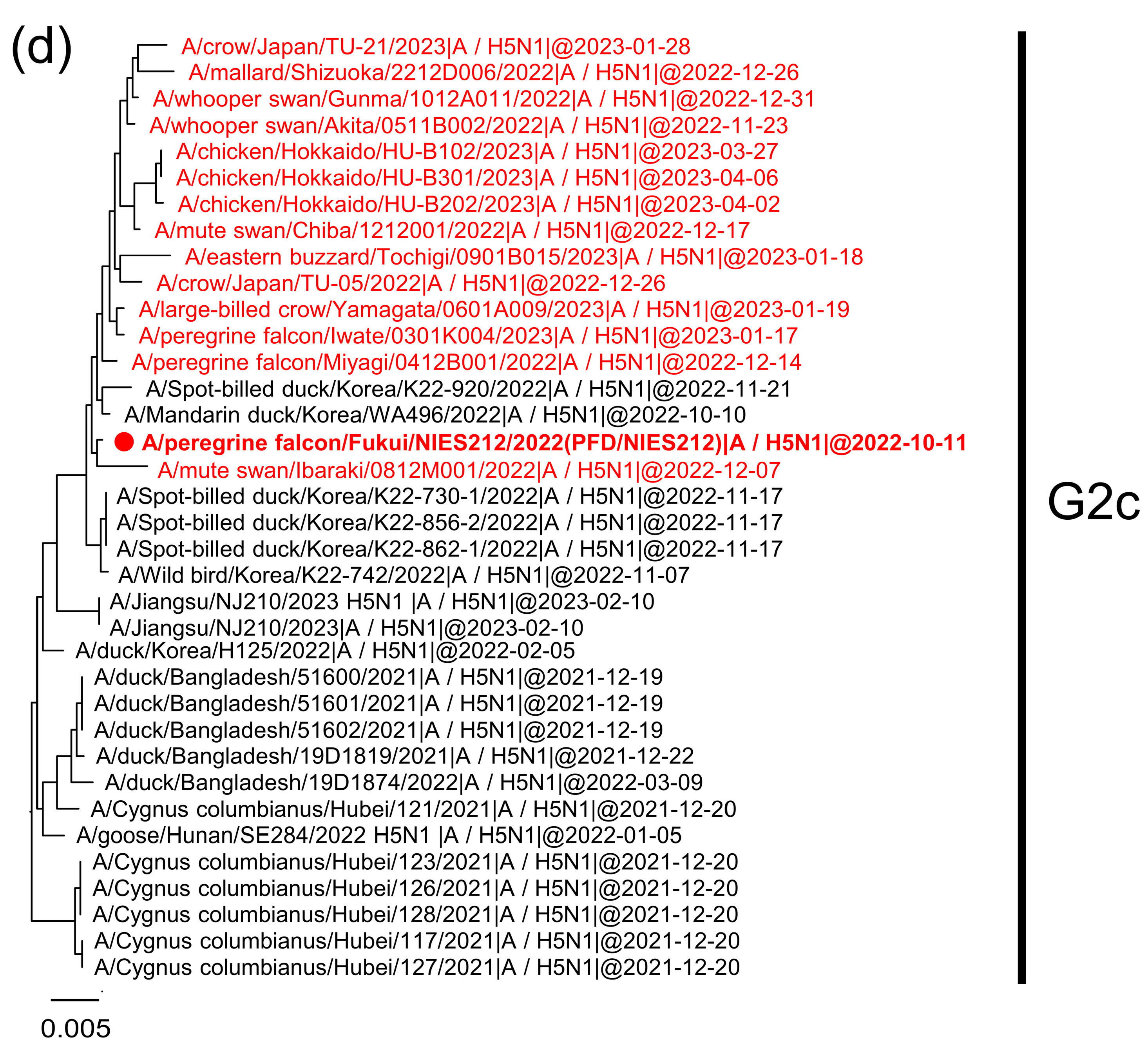 Viruses 15 01865 g002c