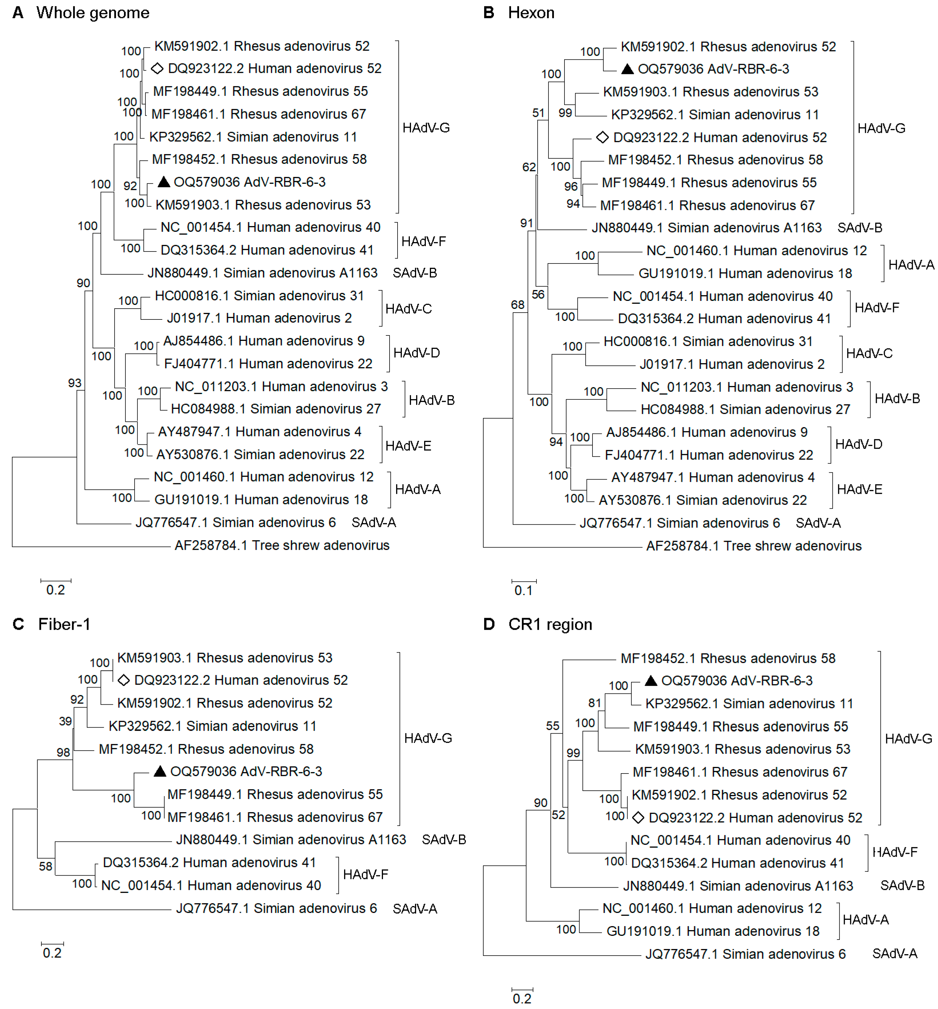 Viruses 15 01871 g001