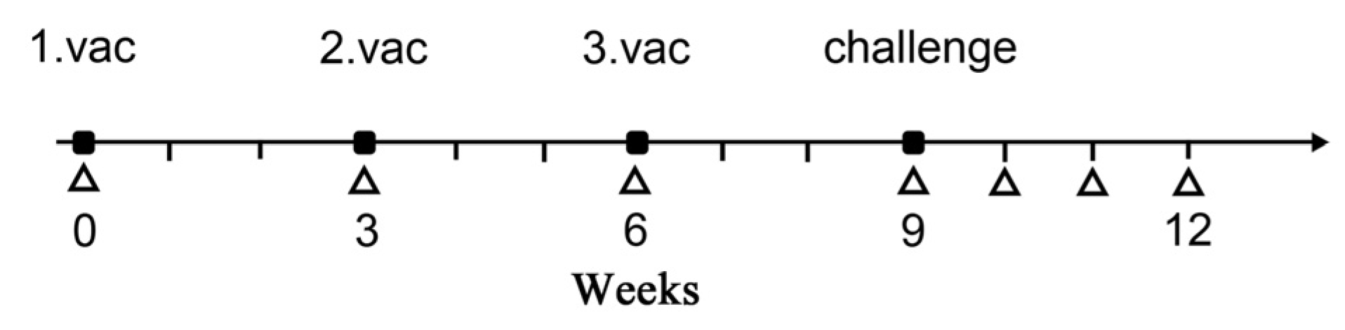 Viruses 15 01873 g002