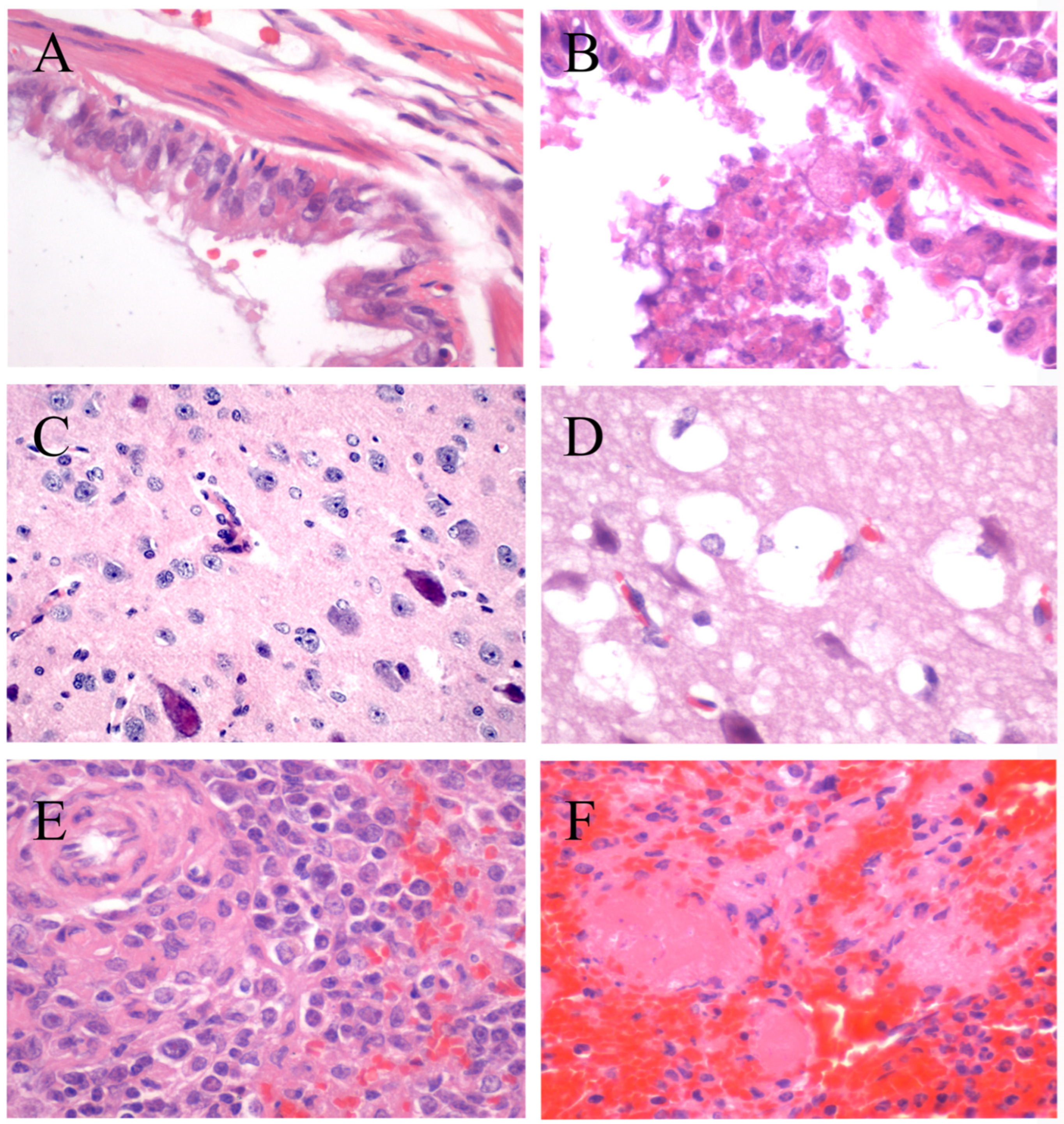 Viruses 15 01873 g0a2