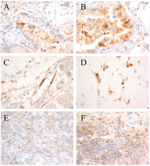 Viruses 15 01873 g0a3