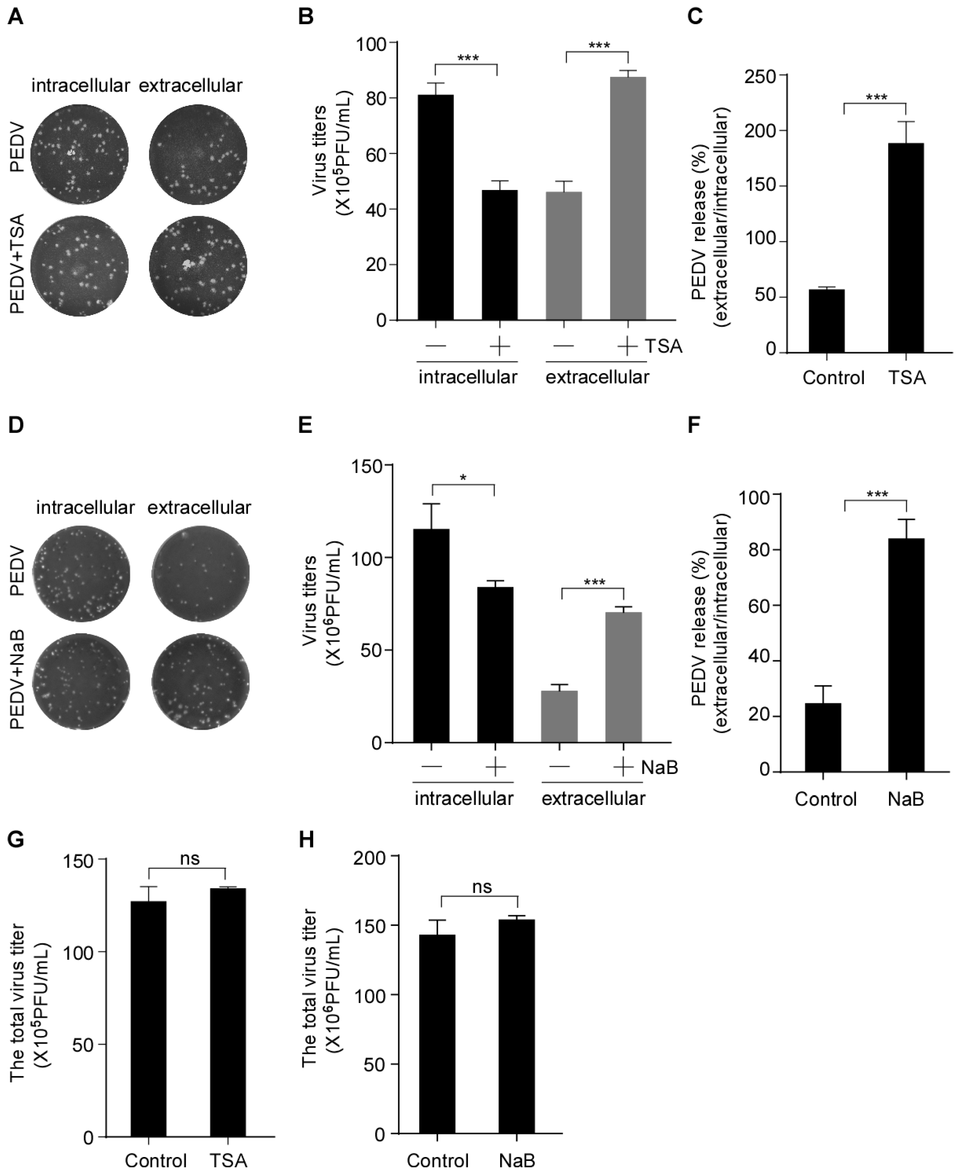 Viruses 15 01874 g002
