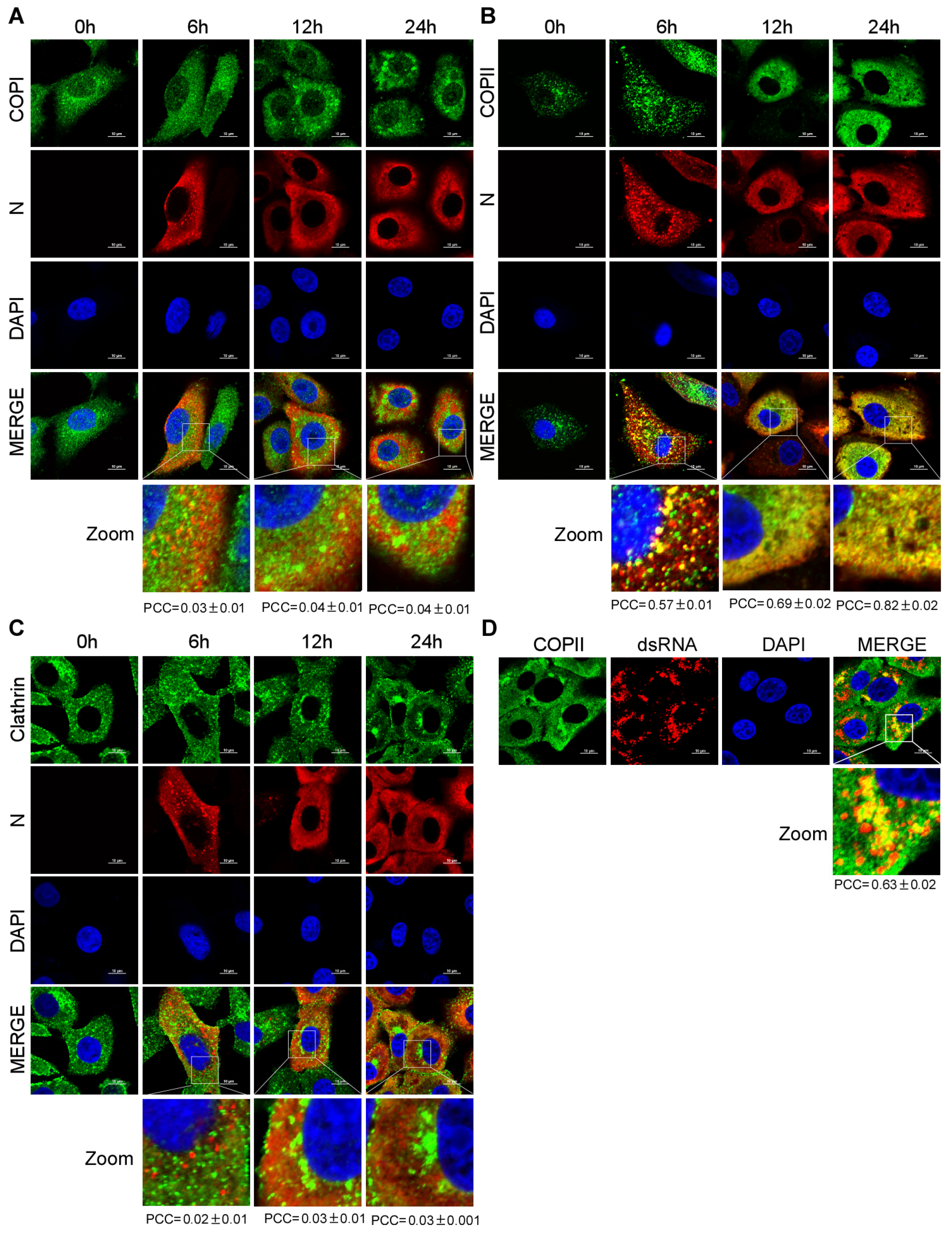Viruses 15 01874 g003