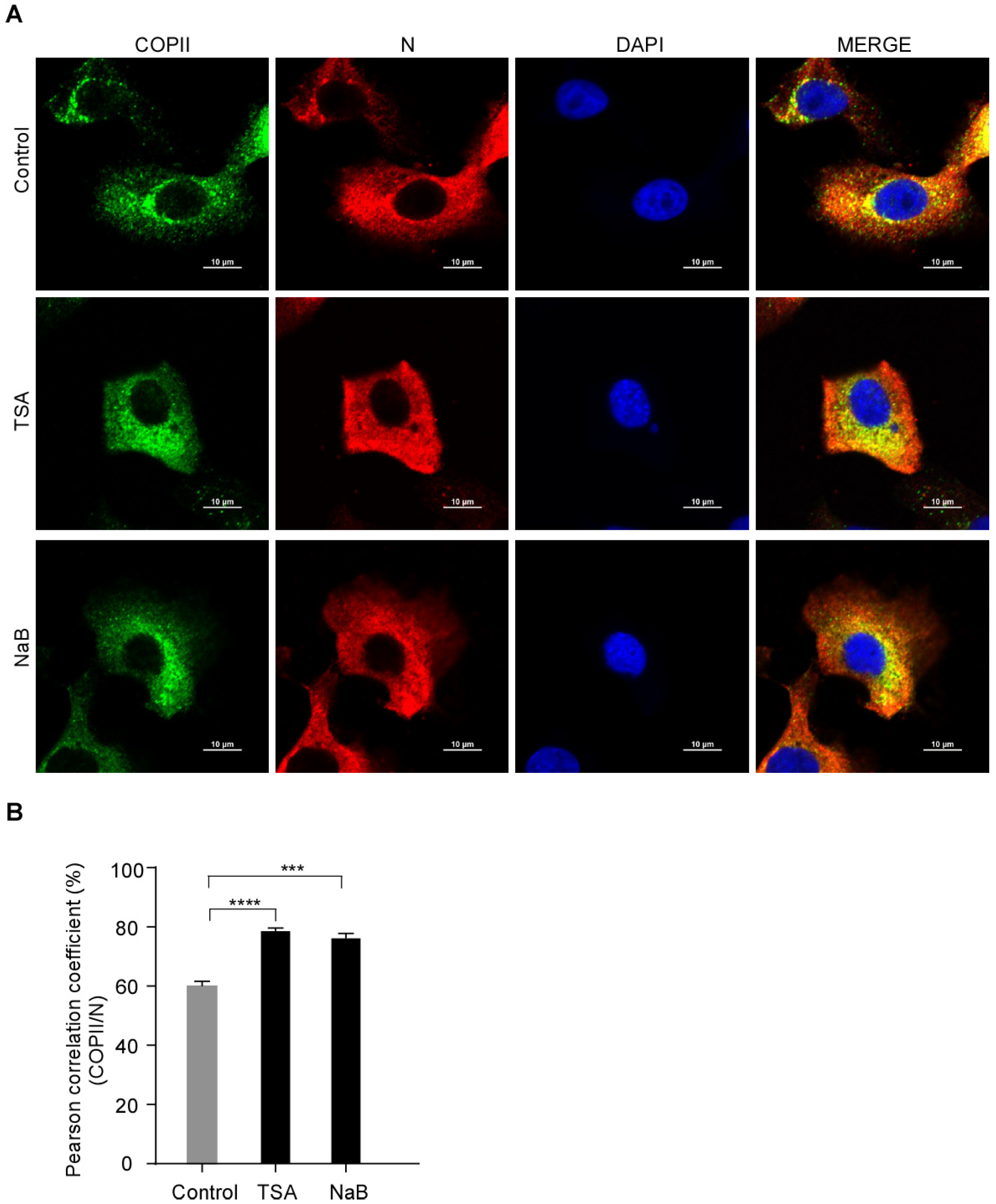 Viruses 15 01874 g004